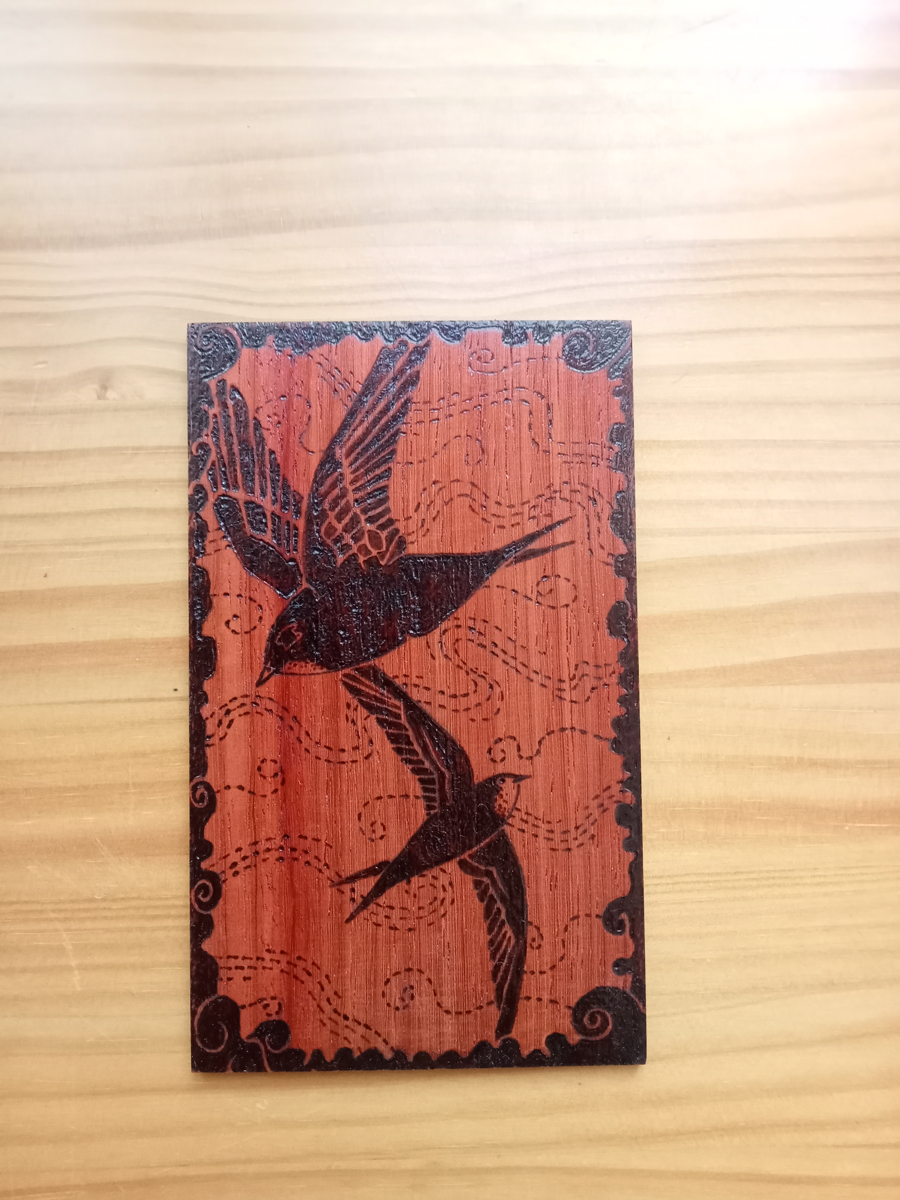 Tabilla de vencejo. Apus apus