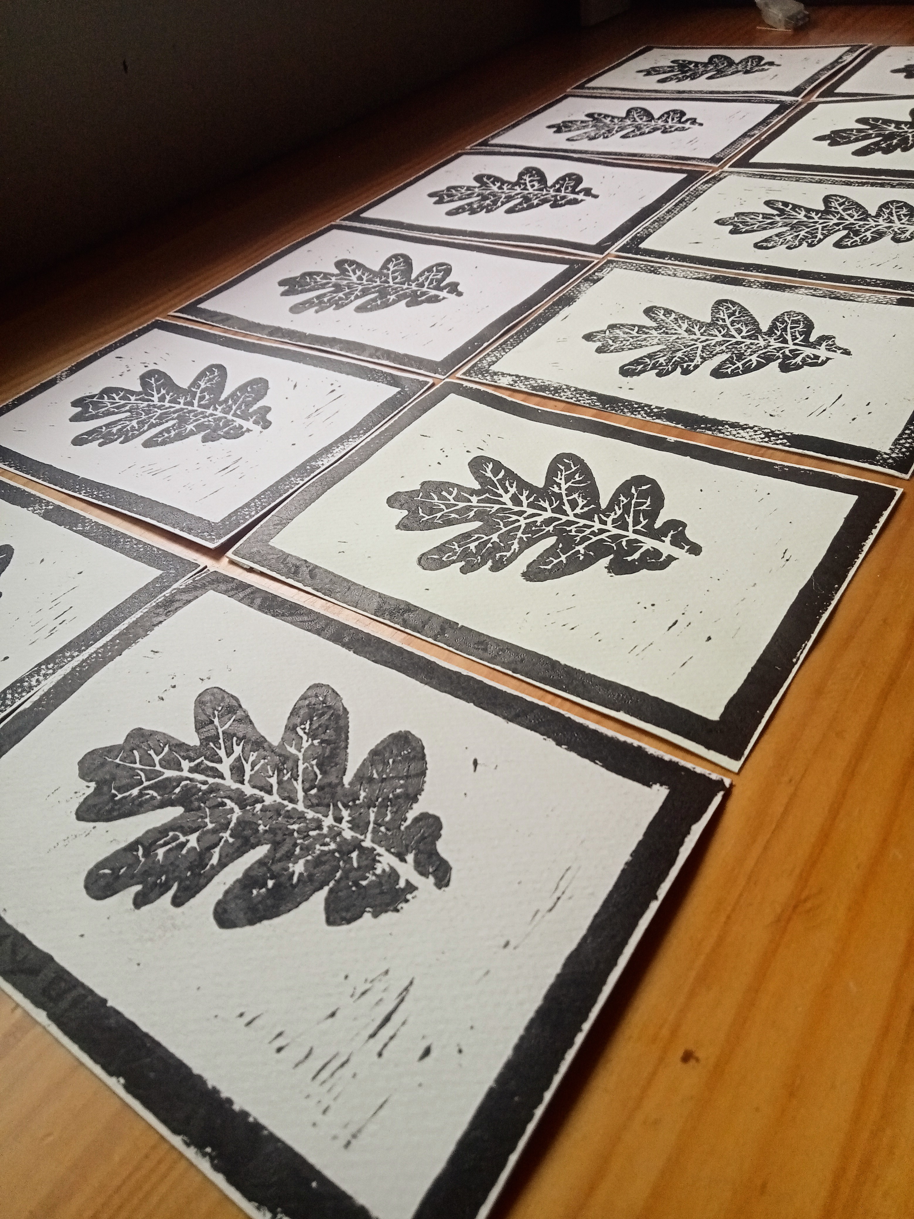 Grabados de Trilobites y Hojas de Roble (precio unidad)