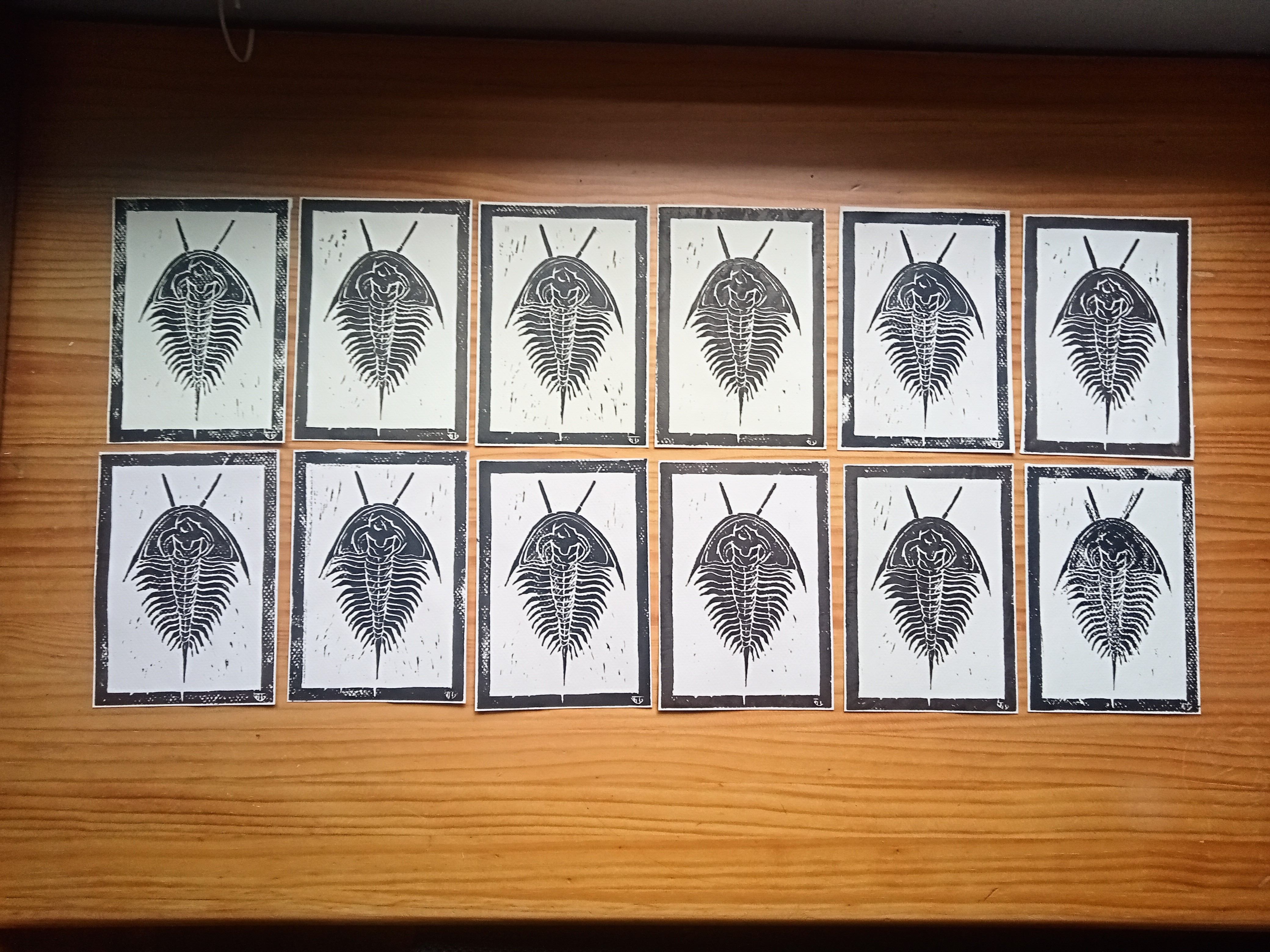 Grabados de Trilobites y Hojas de Roble (precio unidad)