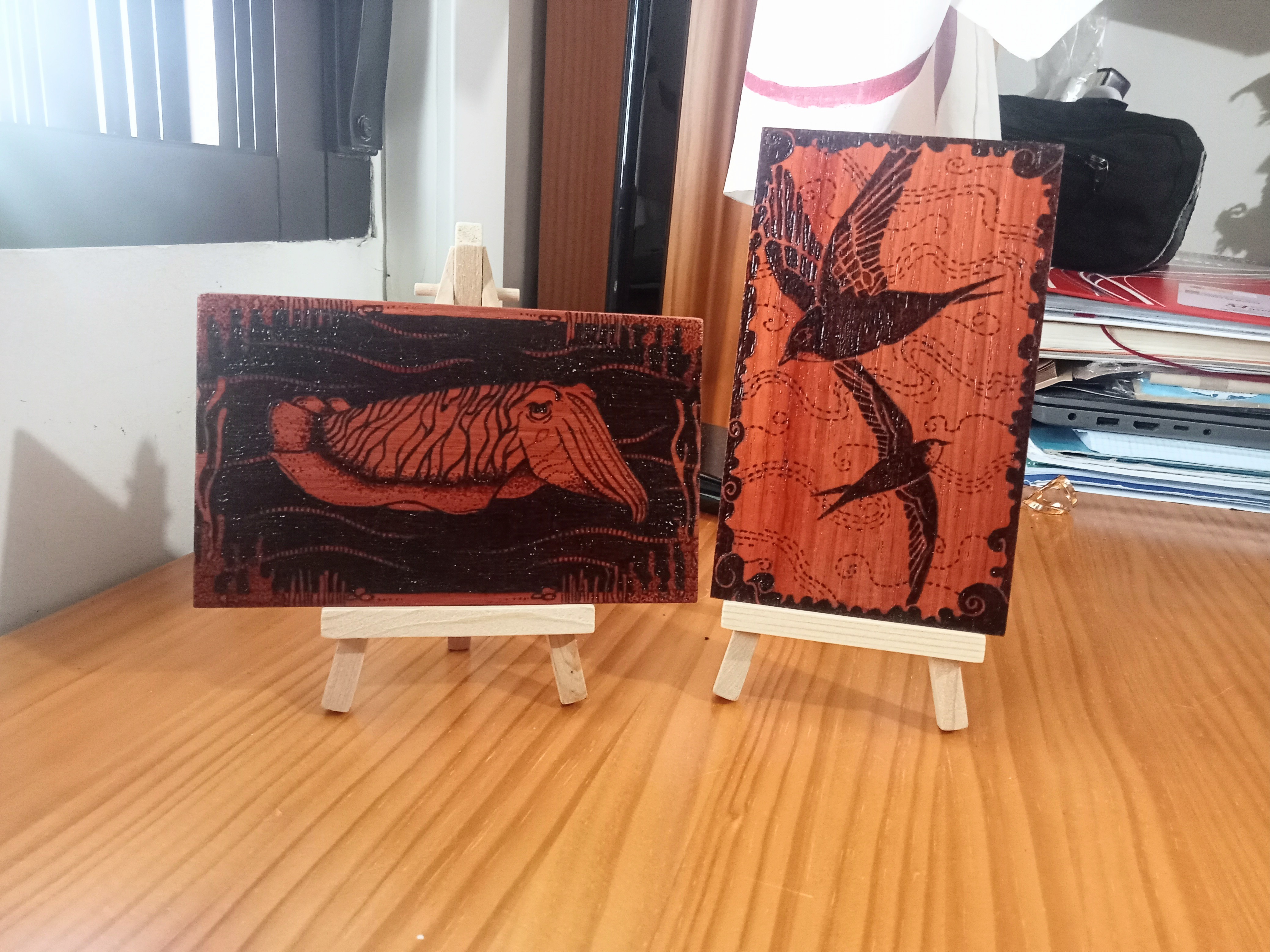 Tabilla de vencejo. Apus apus