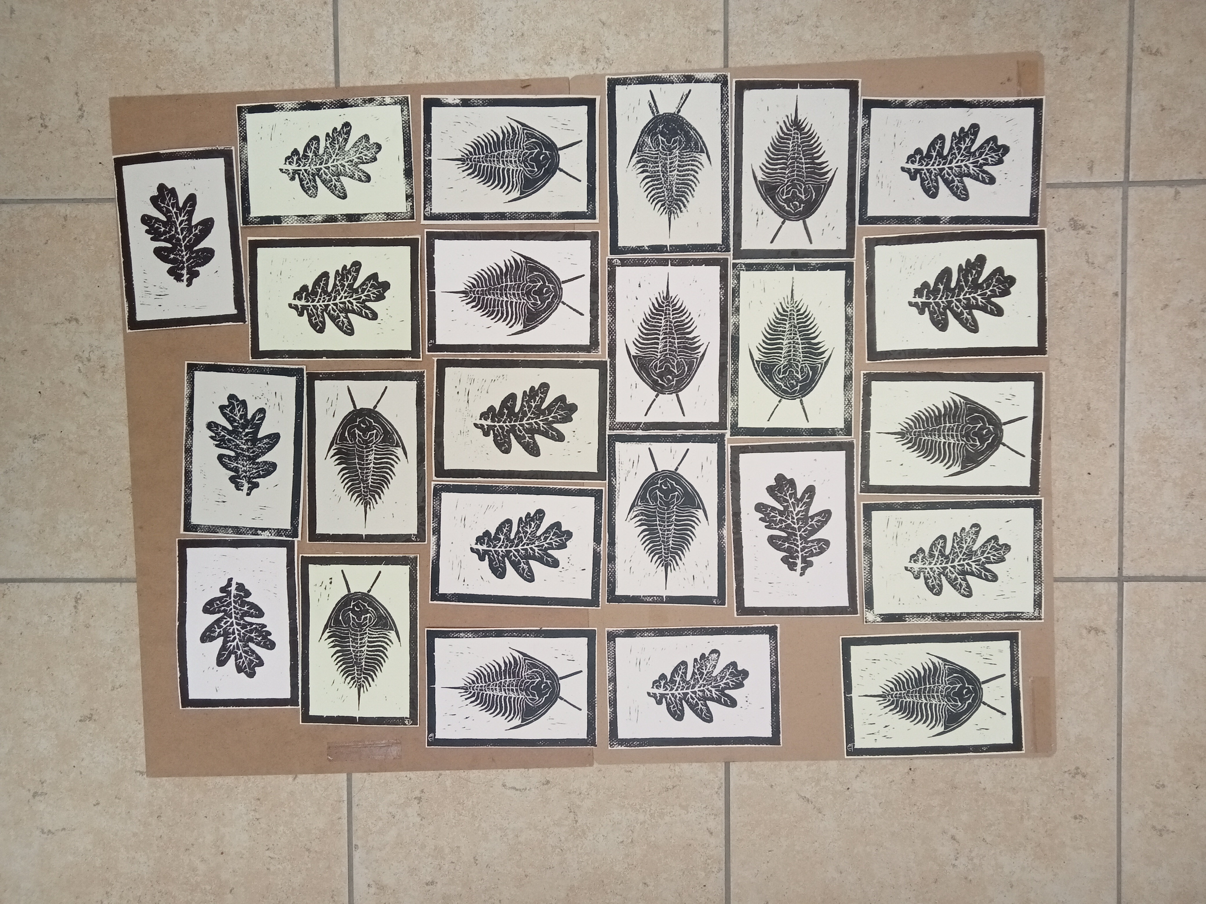 Grabados de Trilobites y Hojas de Roble (precio unidad)