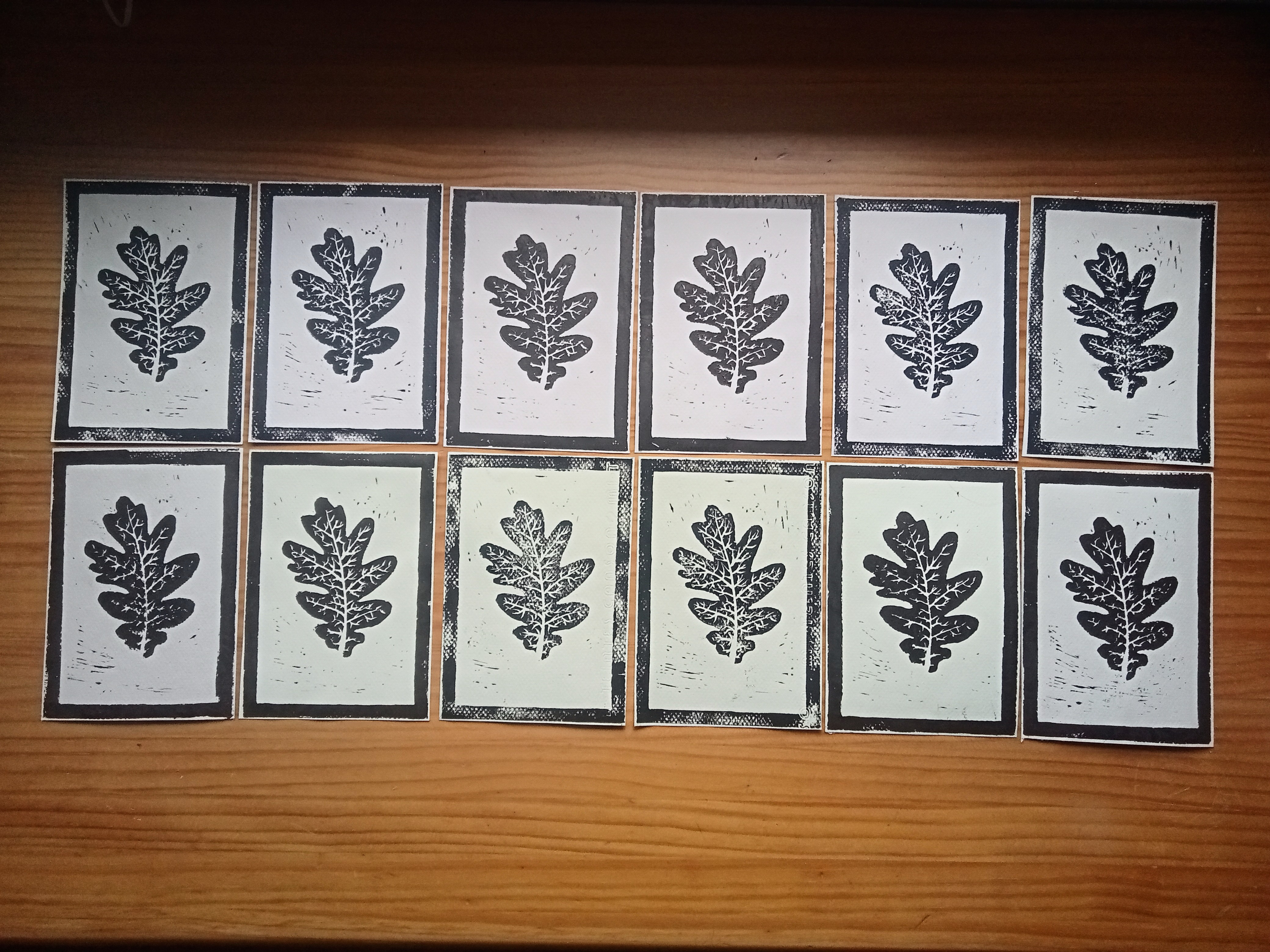 Grabados de Trilobites y Hojas de Roble (precio unidad)