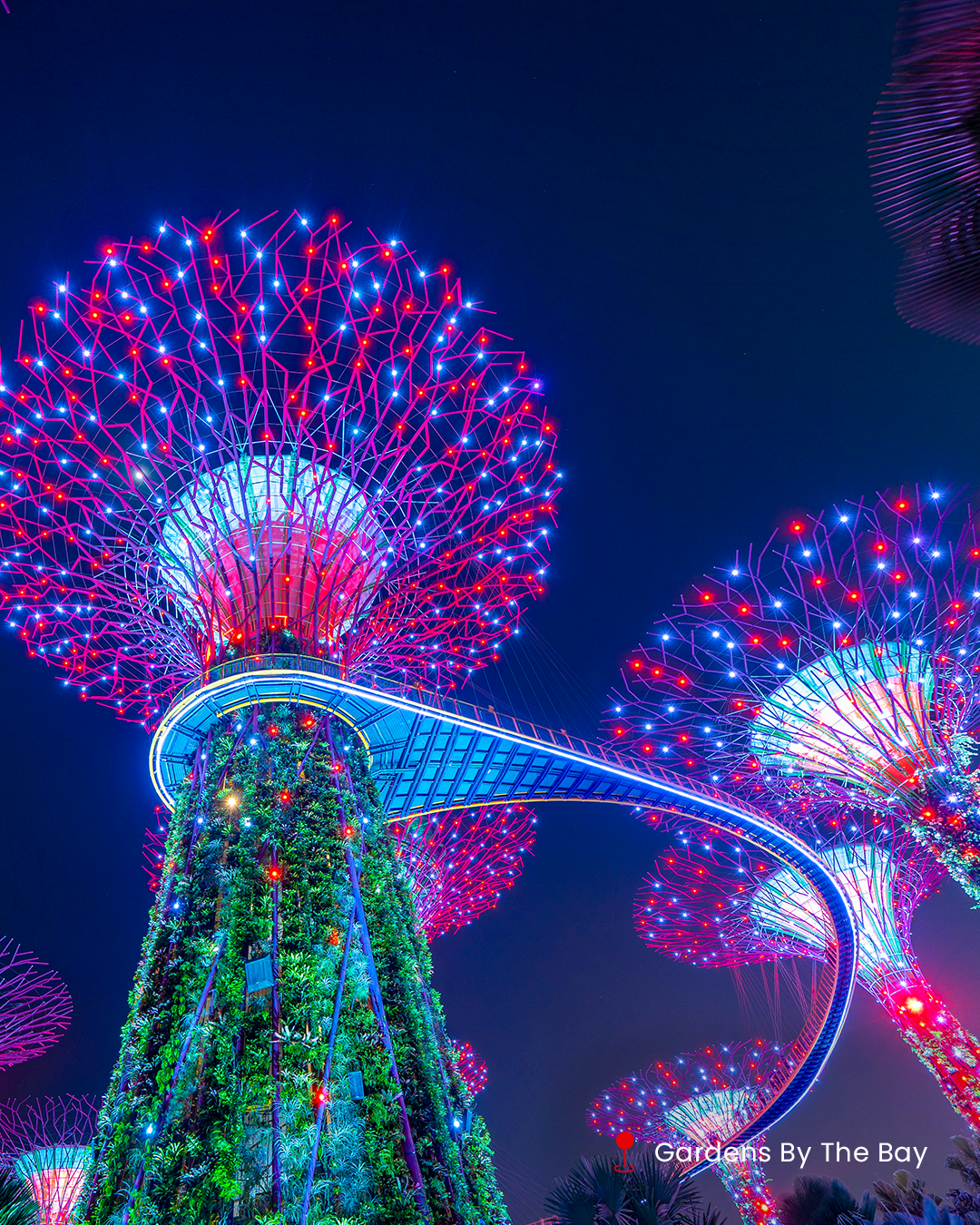 Singapore Airline Tour Package