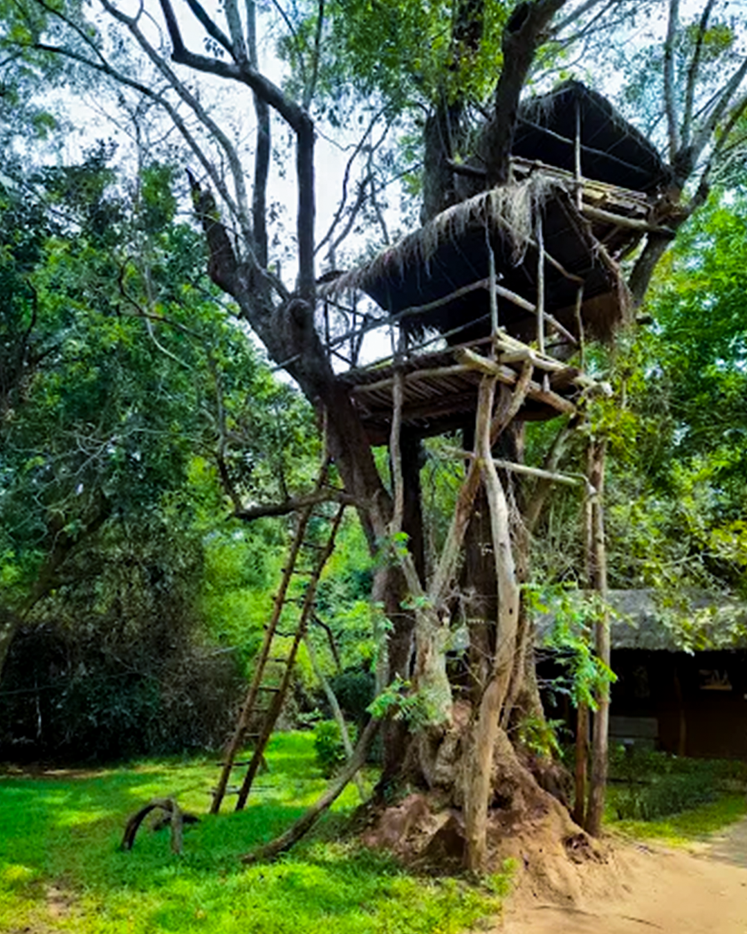 The Other Corner, Habarana