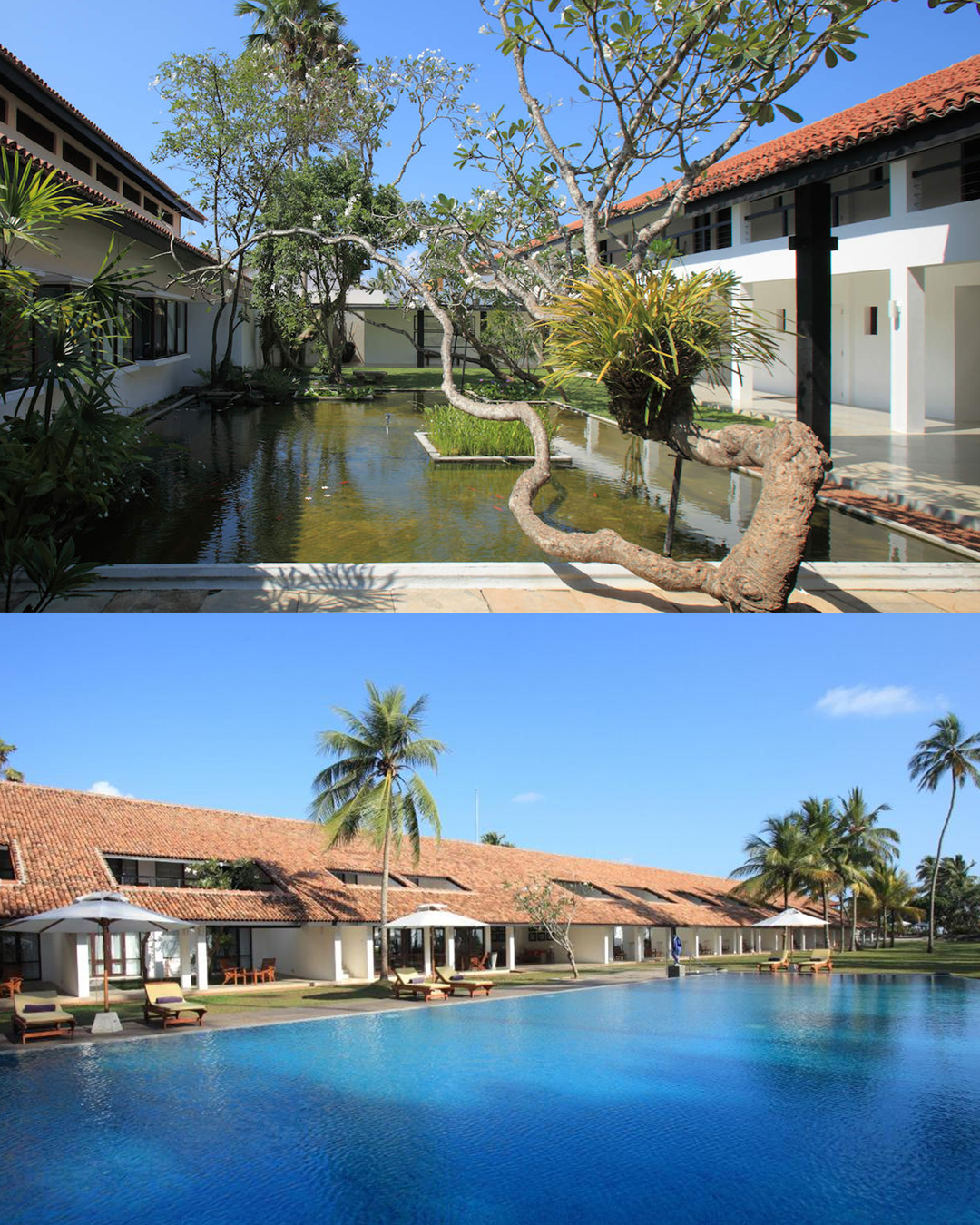 Thaala Resort Bentota