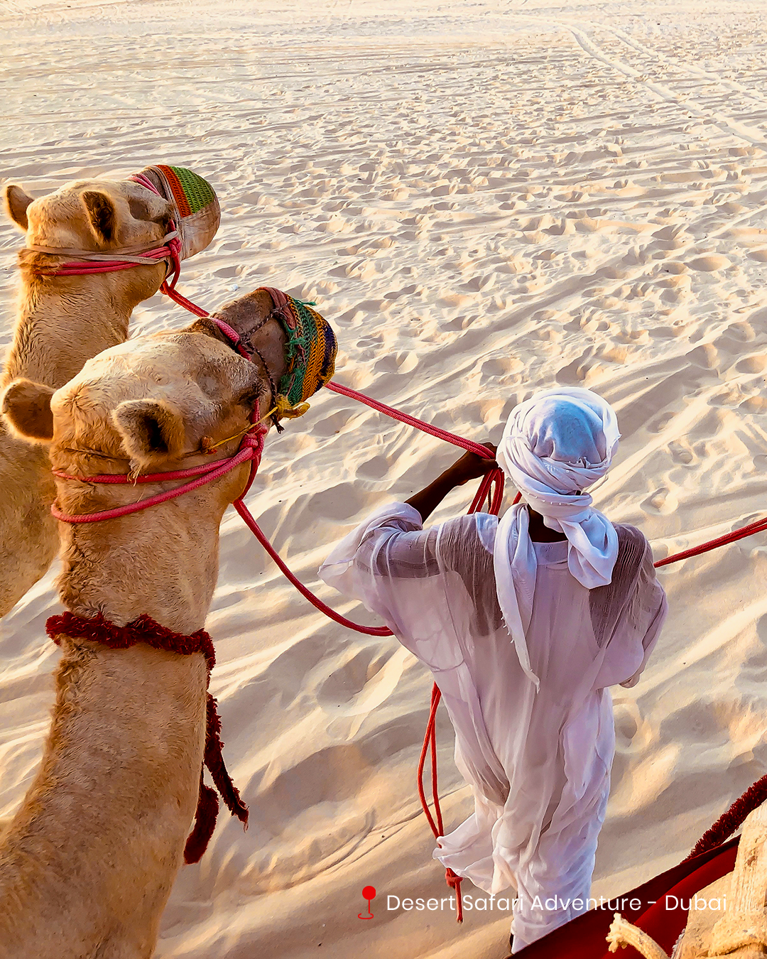 04 Nights at Citymax Dubai