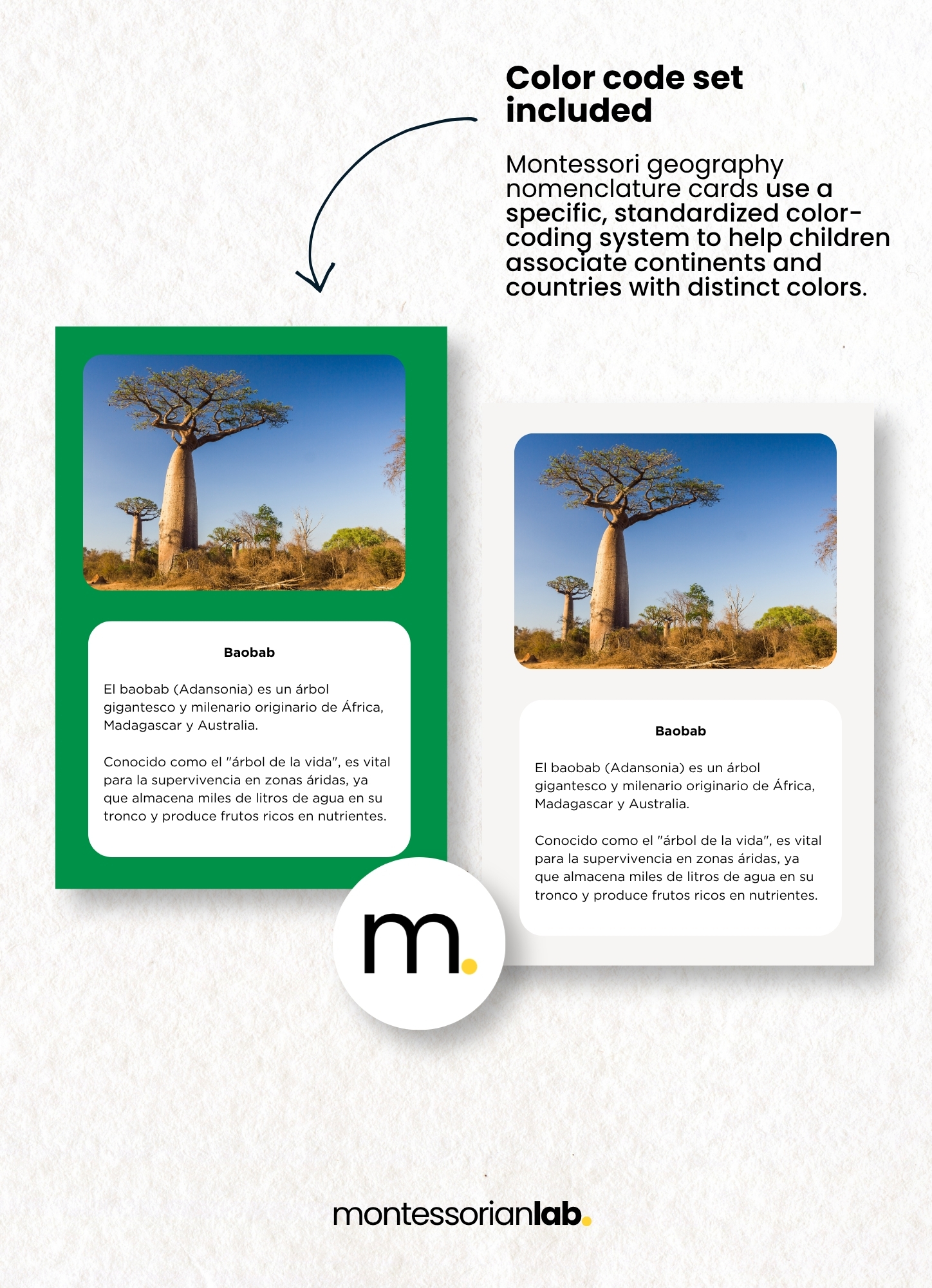 Geography Folders — The Complete Set · 7 Continents