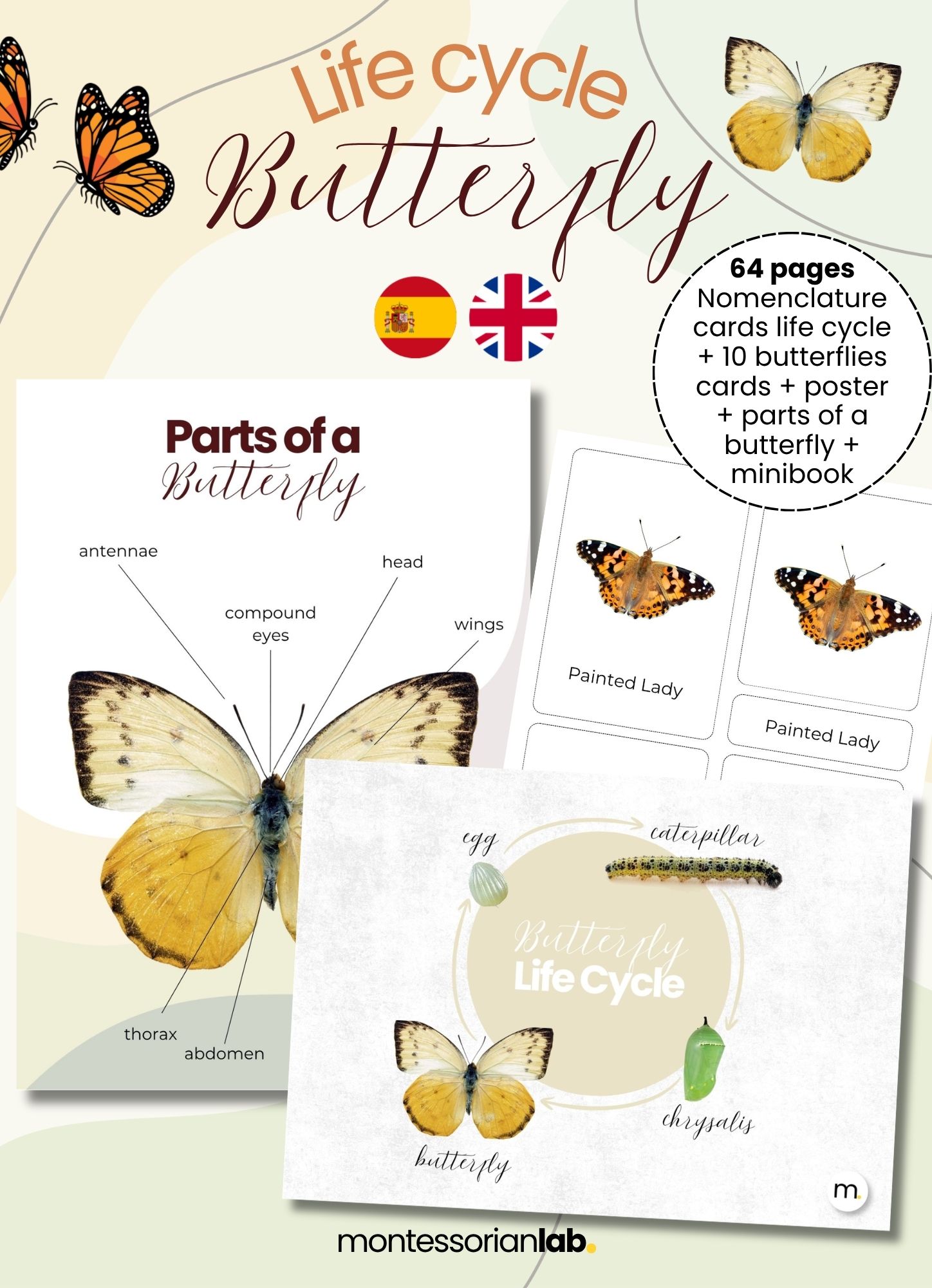 Butterfly Life Cycle Montessori Bundle