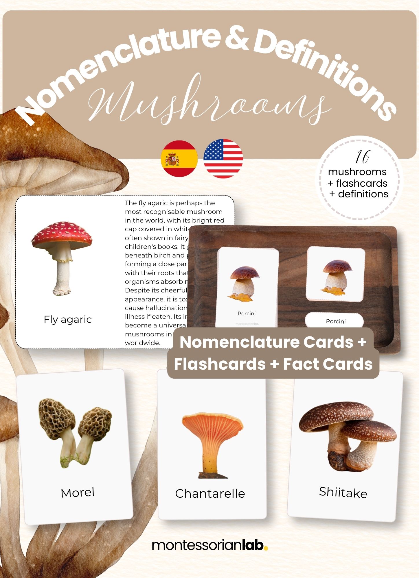 Mushrooms Bundle– Nomenclature Cards, Flashcards & Fact Cards 
