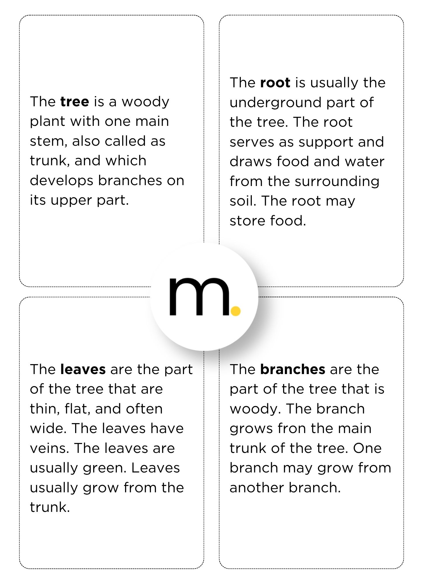 Parts of the Tree Montessori Nomenclature Cards