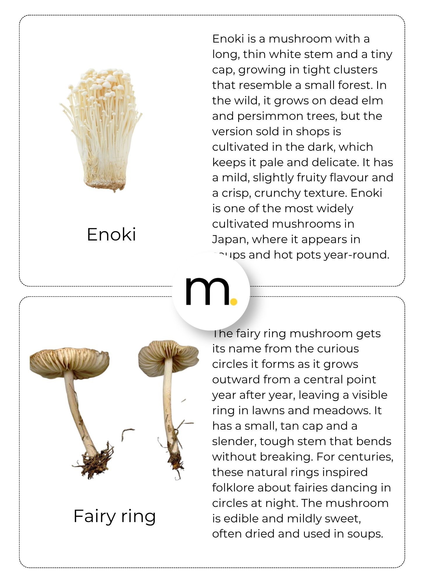 Mushrooms Bundle– Nomenclature Cards, Flashcards & Fact Cards 