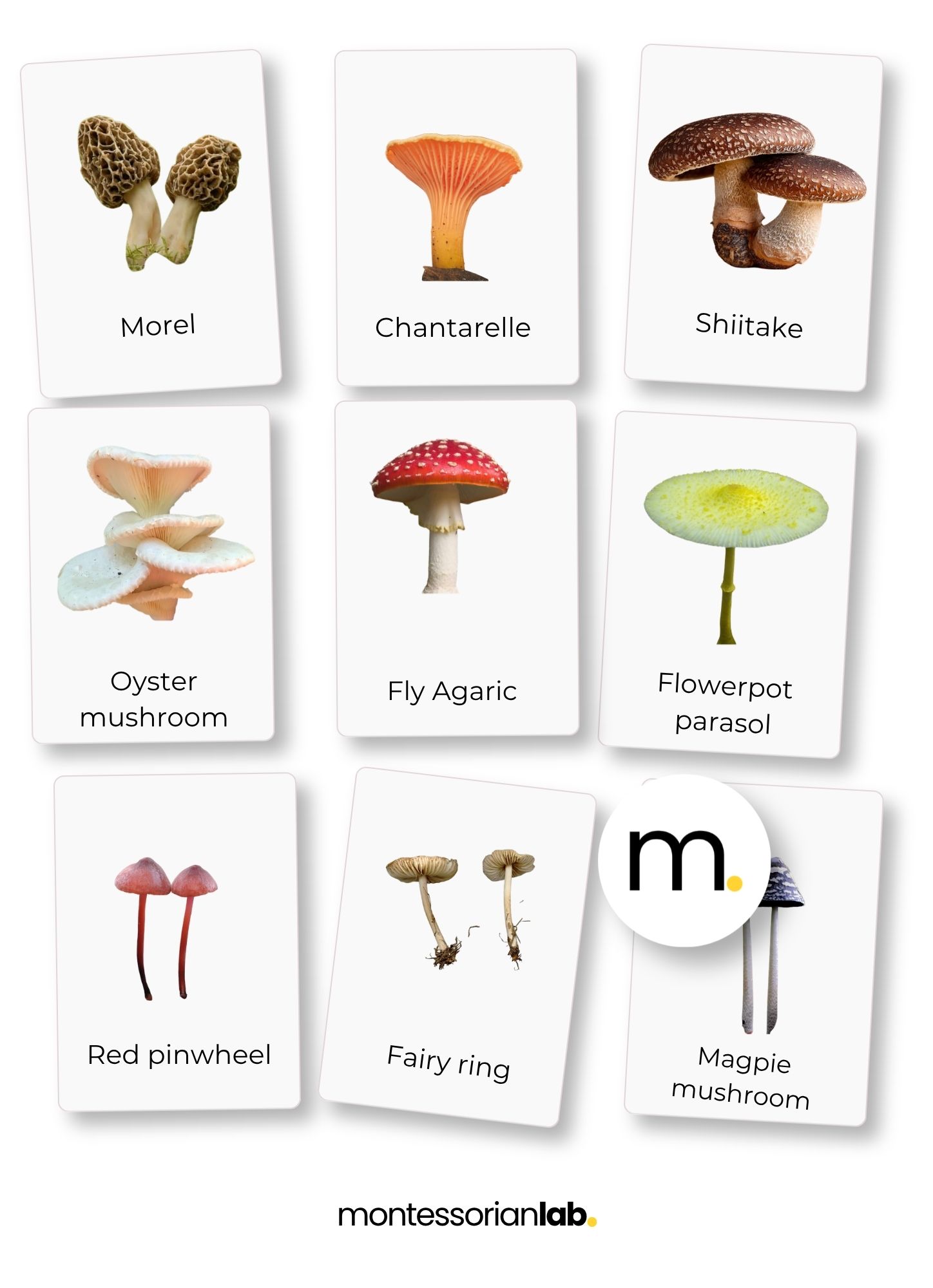 Mushrooms Bundle– Nomenclature Cards, Flashcards & Fact Cards 