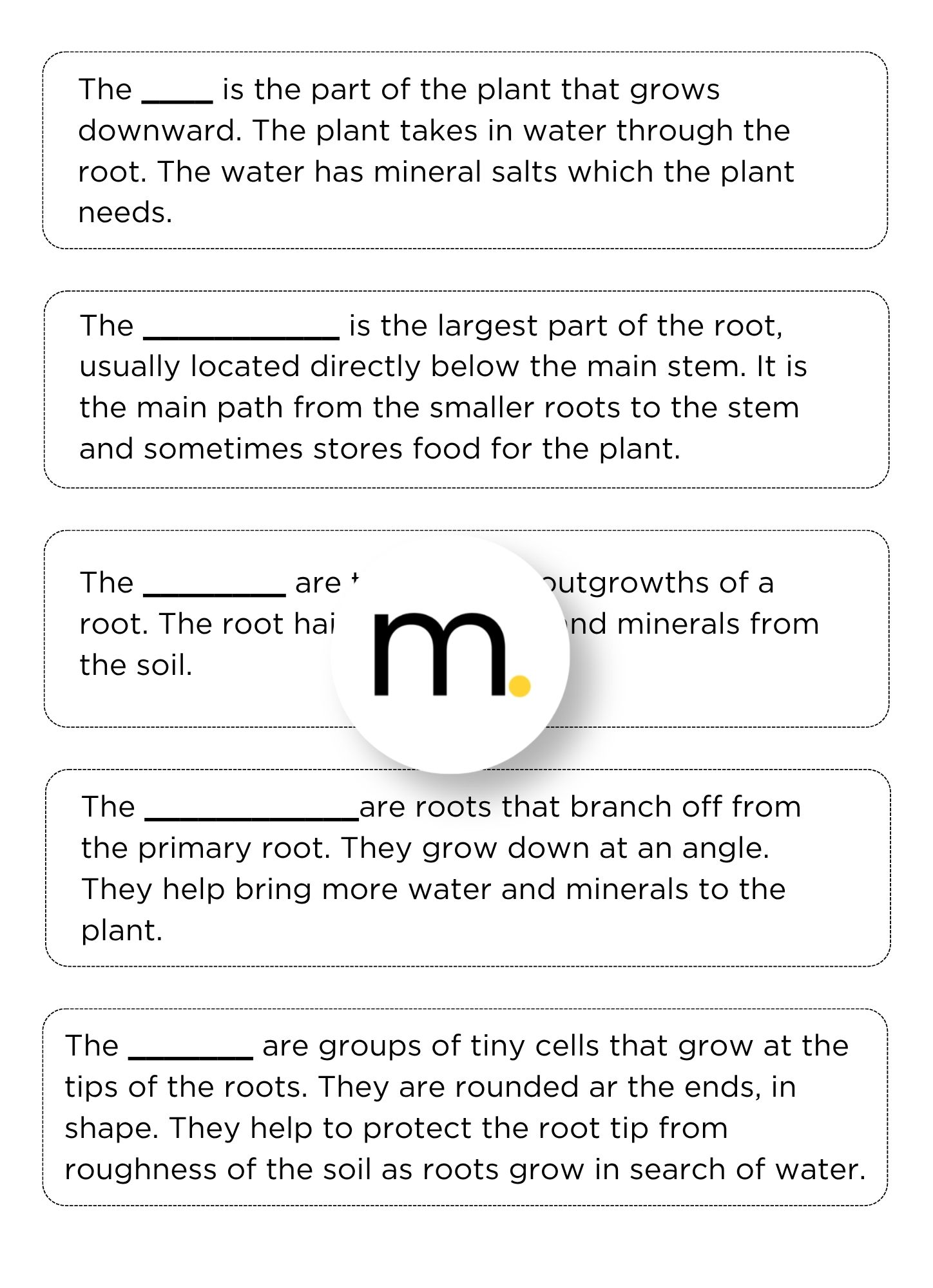 Parts of a Root Montessori Nomenclature cards