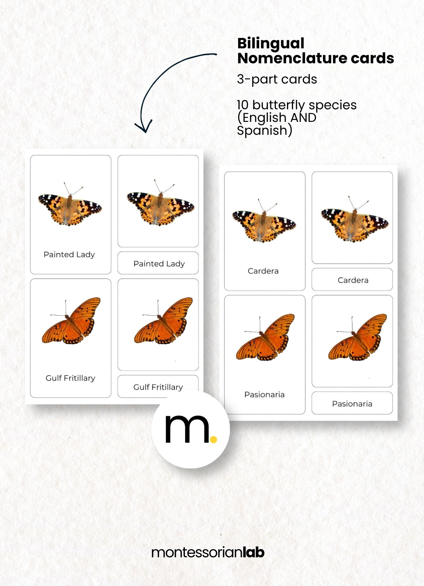 Butterfly Life Cycle Montessori Bundle