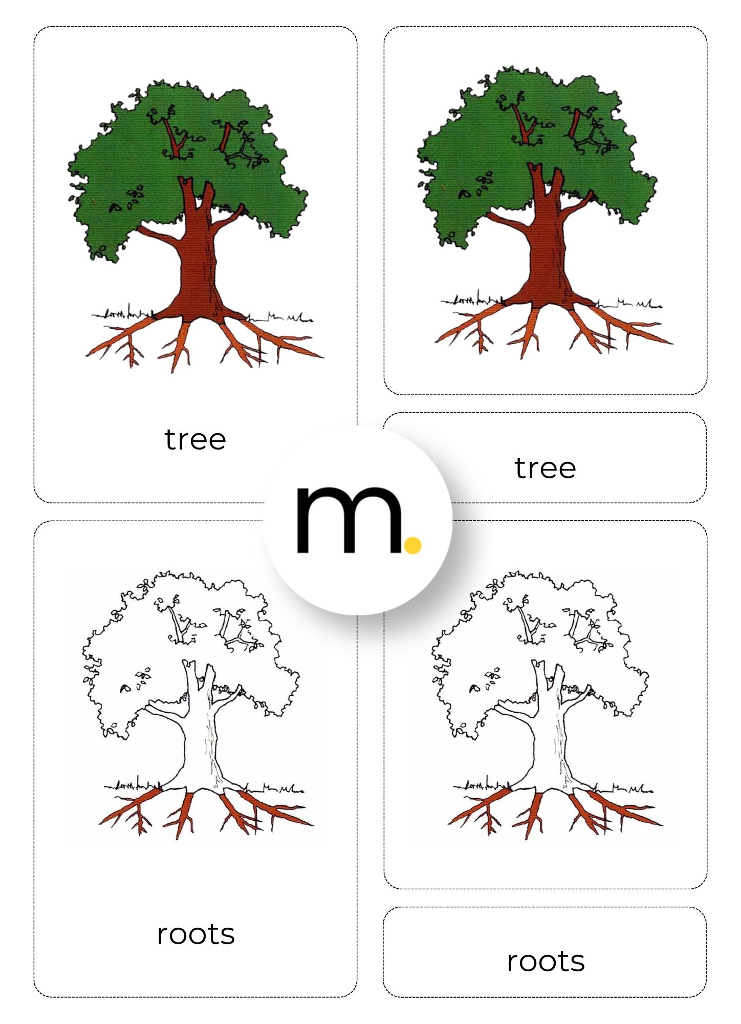 Parts of the Tree Montessori Nomenclature Cards