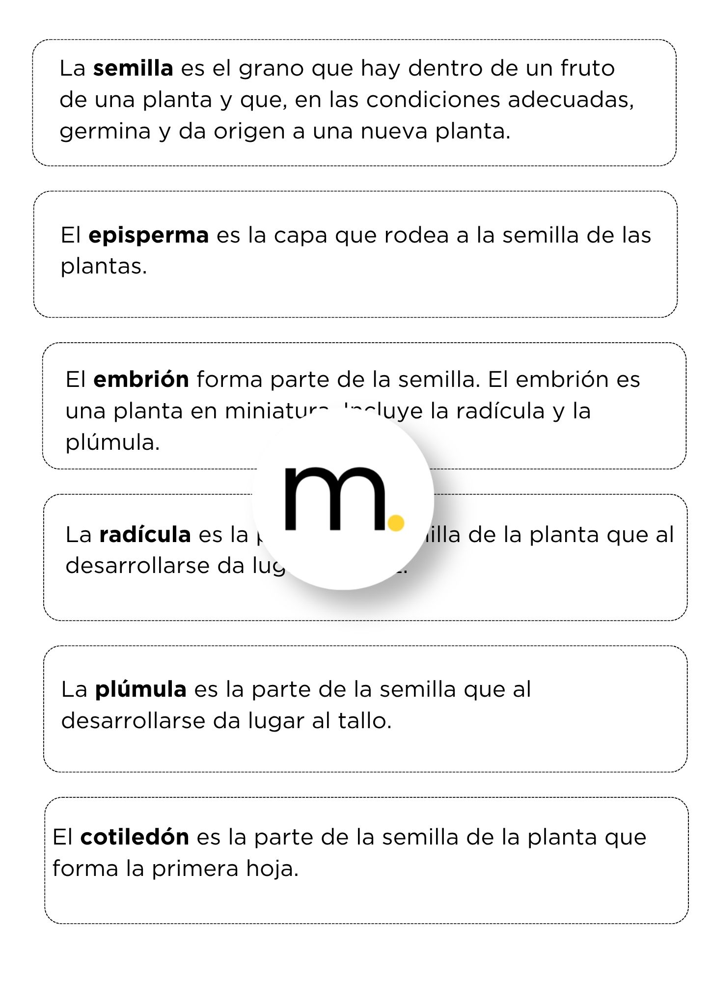 Parts of a Seed Montessori Nomenclature cards