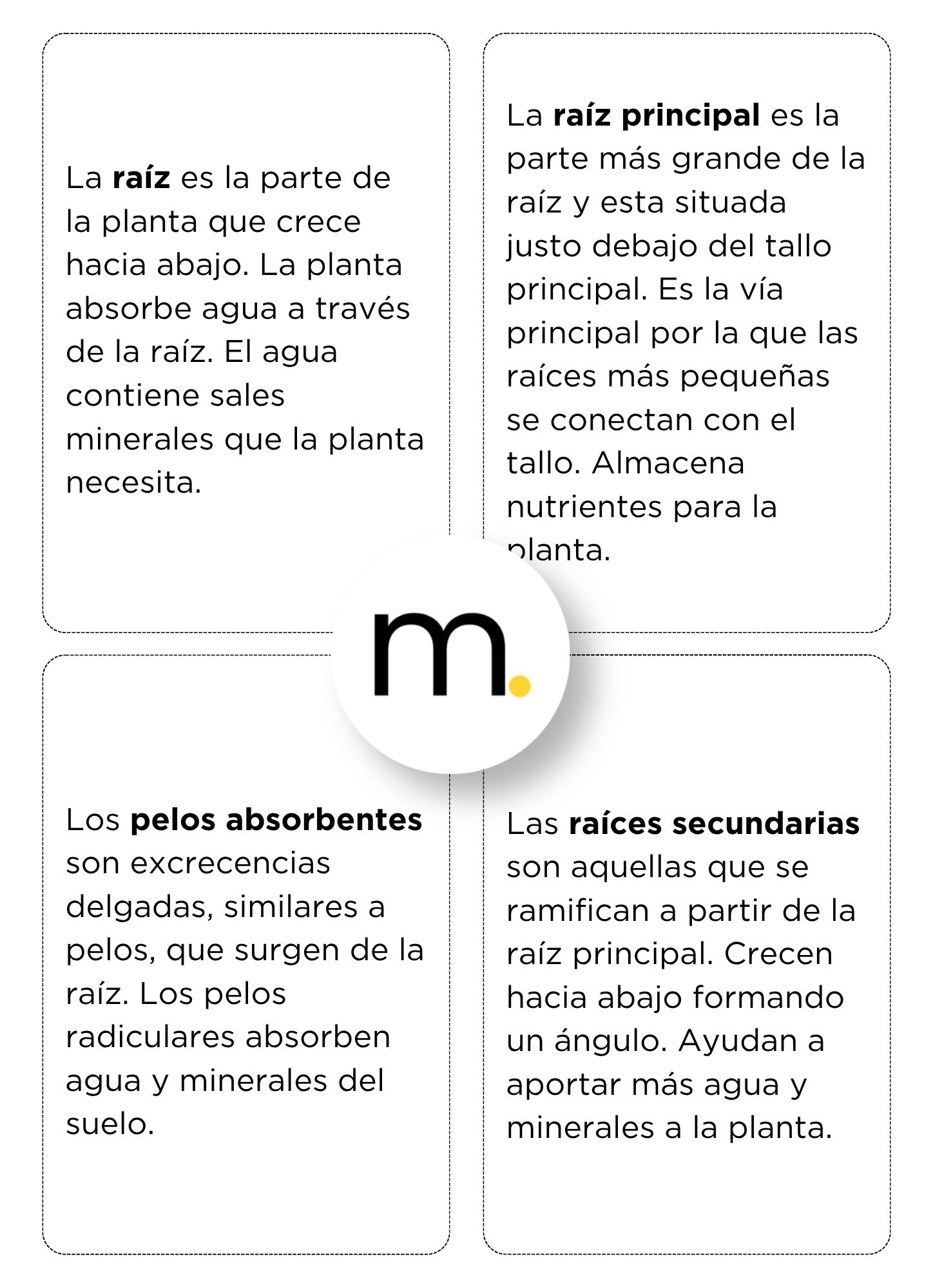 Parts of a Root Montessori Nomenclature cards