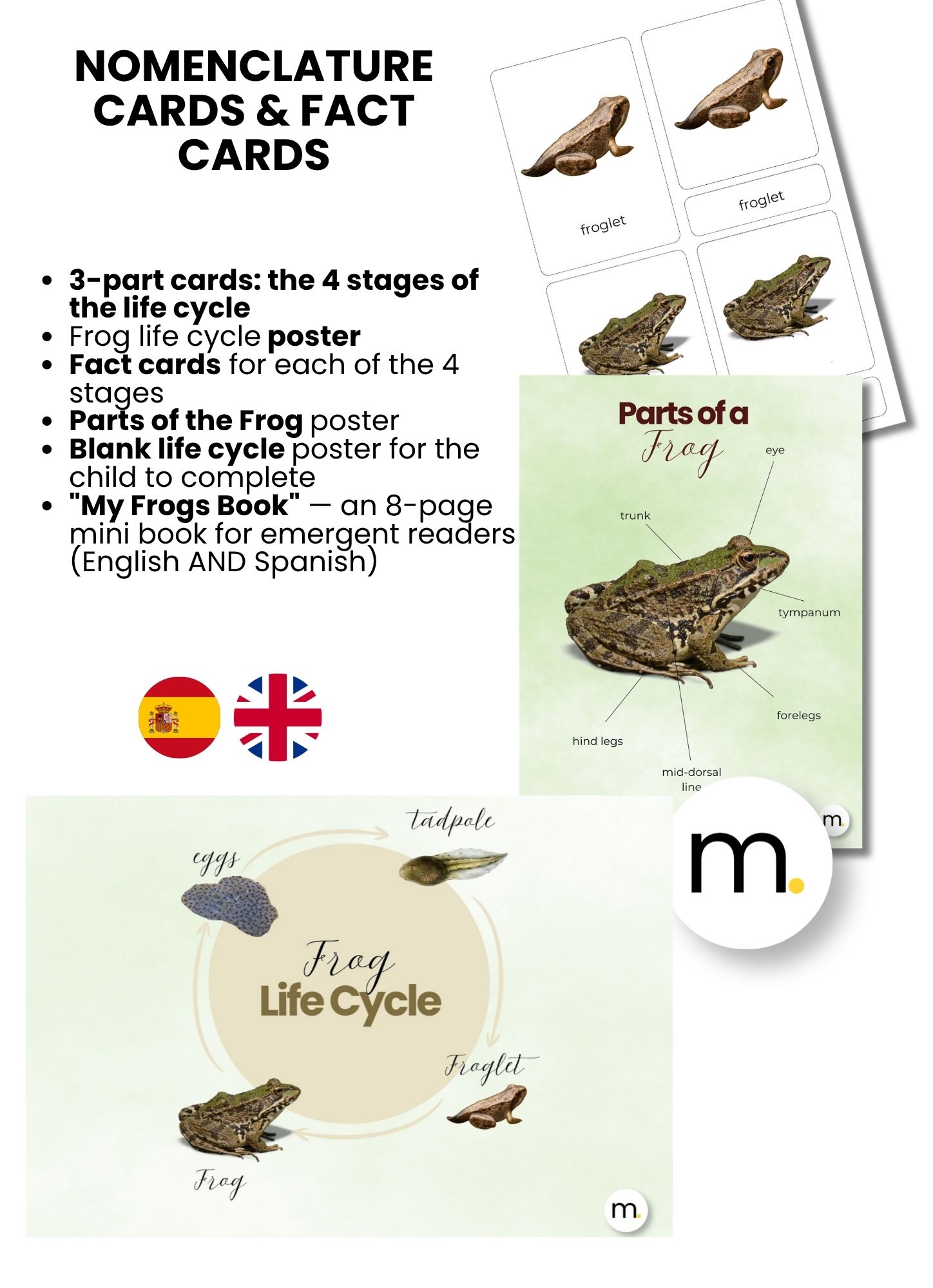 Frog Life Cycle Montessori Bundle 
