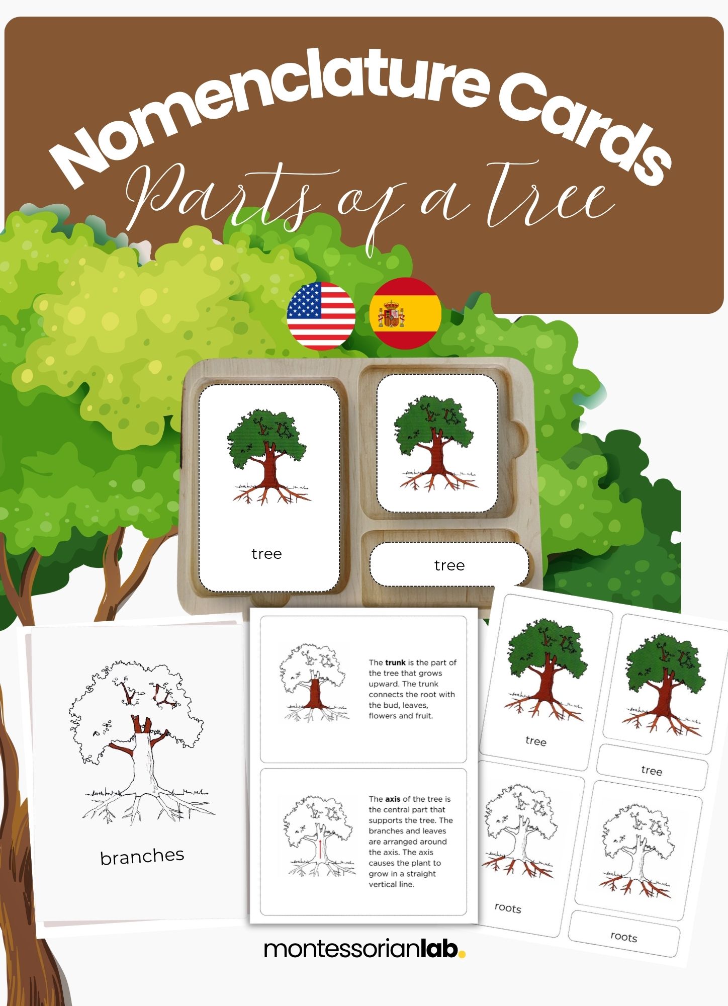 Parts of the Tree Montessori Nomenclature Cards