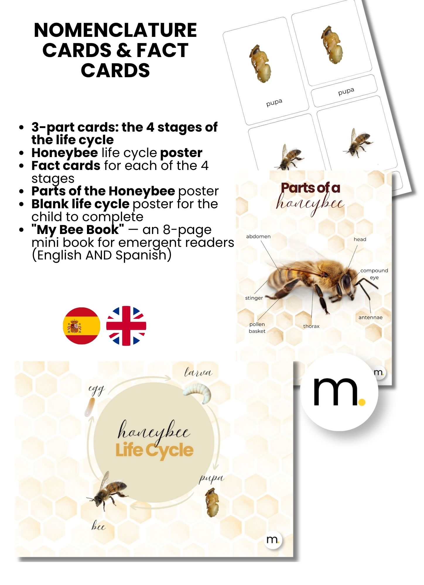 Honeybee Life Cycle Montessori Bundle 