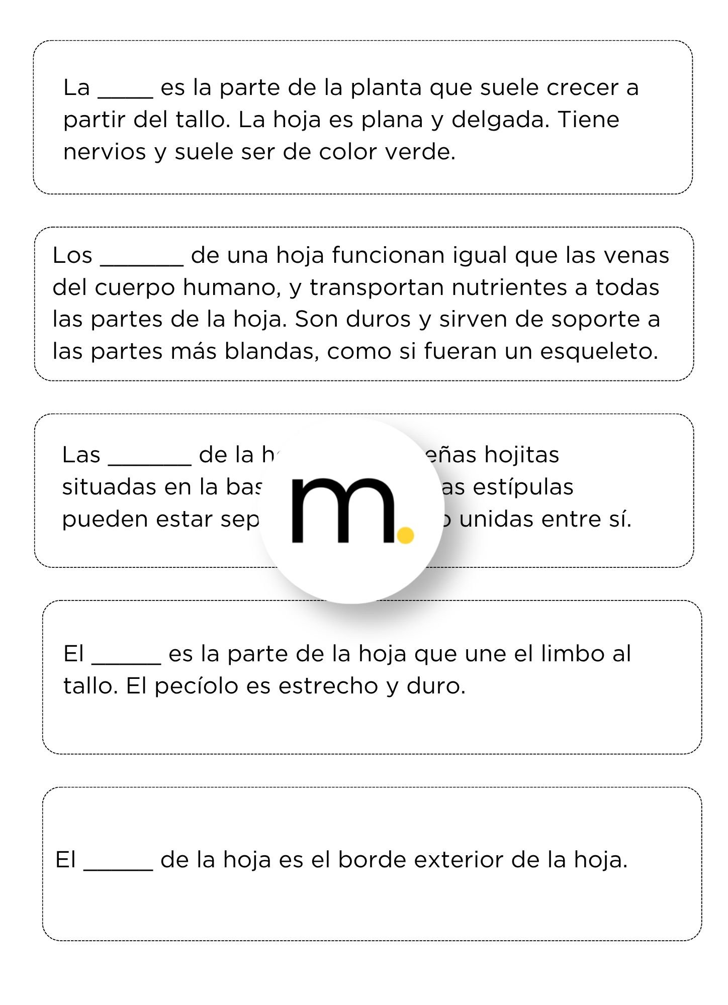 Parts of a Leaf Montessori Nomenclature Cards