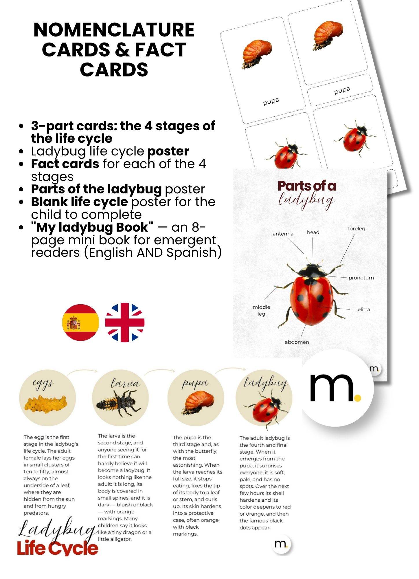 Ladybug Life Cycle Montessori Bundle 