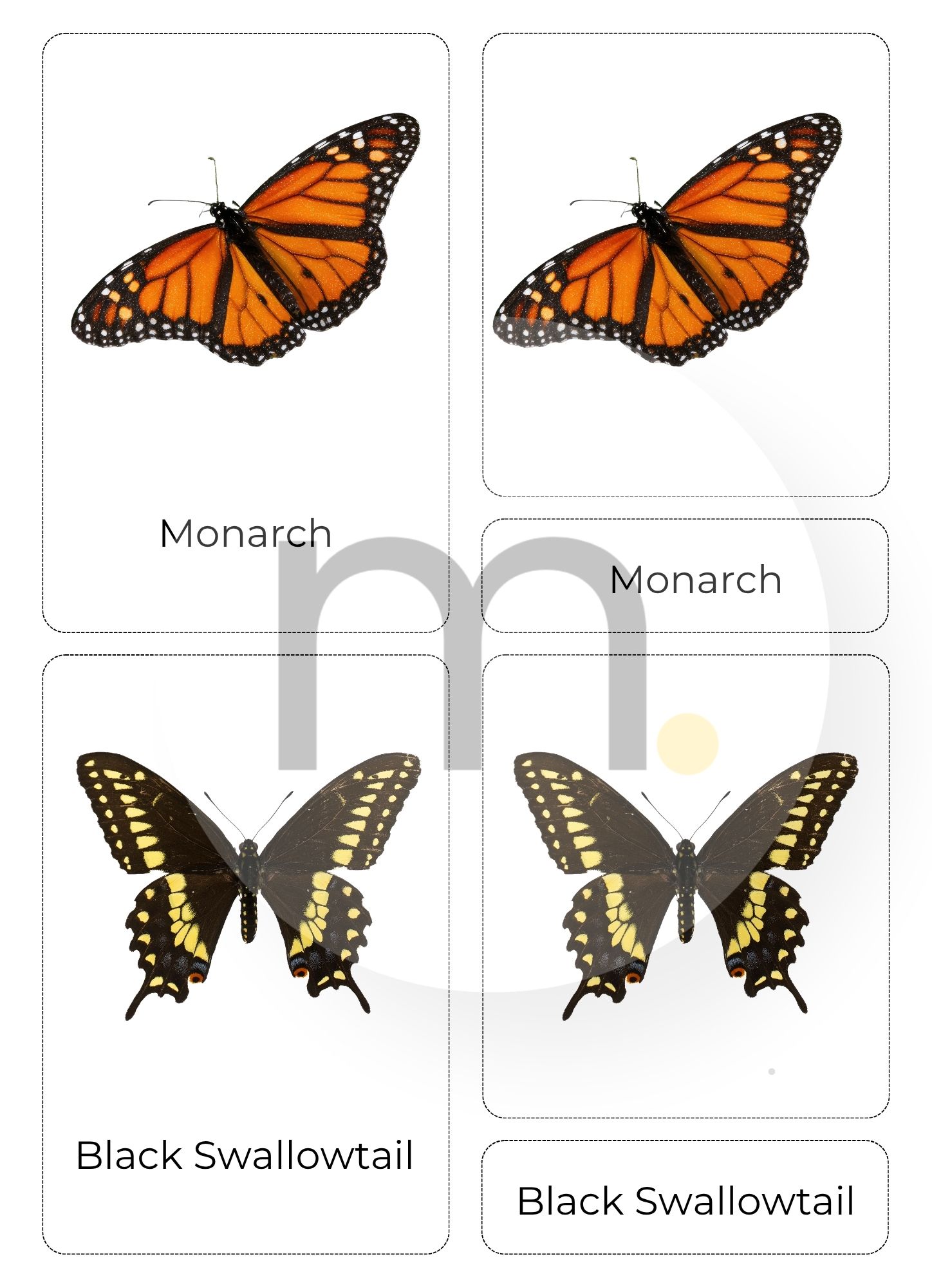 Butterfly Life Cycle Montessori Bundle