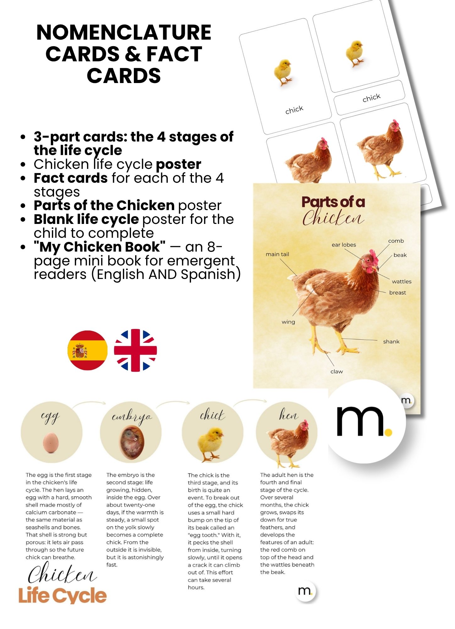 Chicken Life Cycle Montessori Bundle