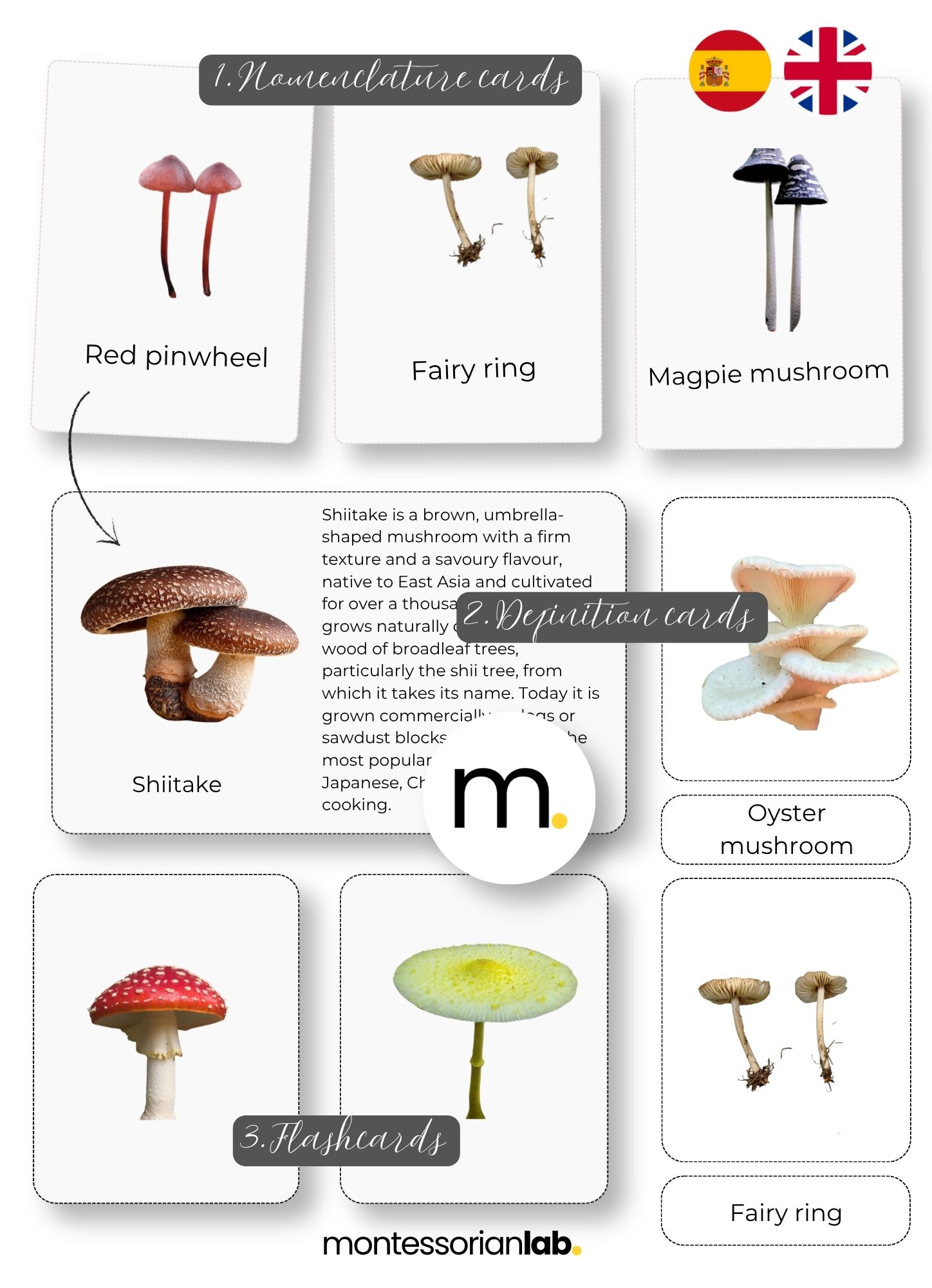 Mushrooms Bundle– Nomenclature Cards, Flashcards & Fact Cards 