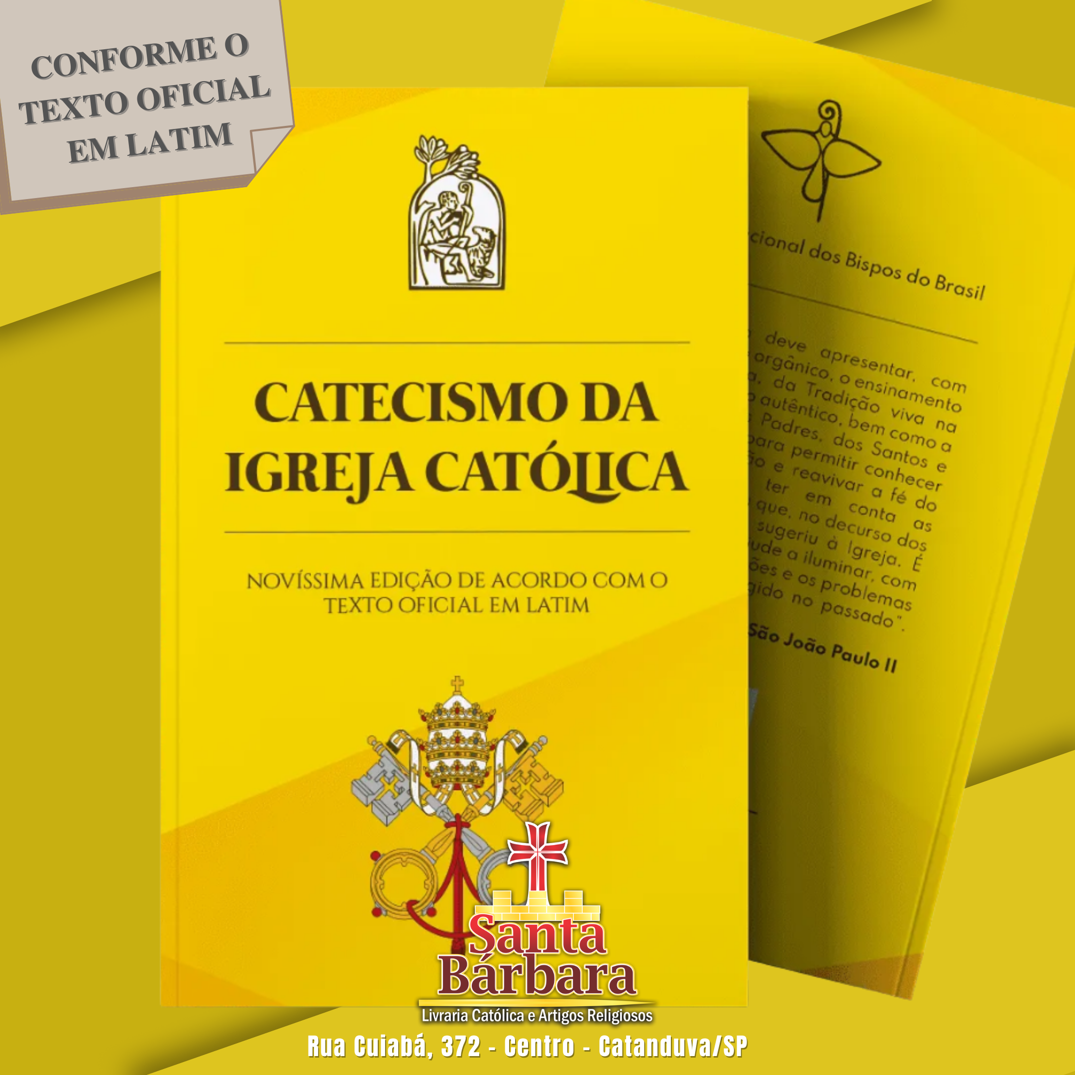 Catecismos da Igreja Católica