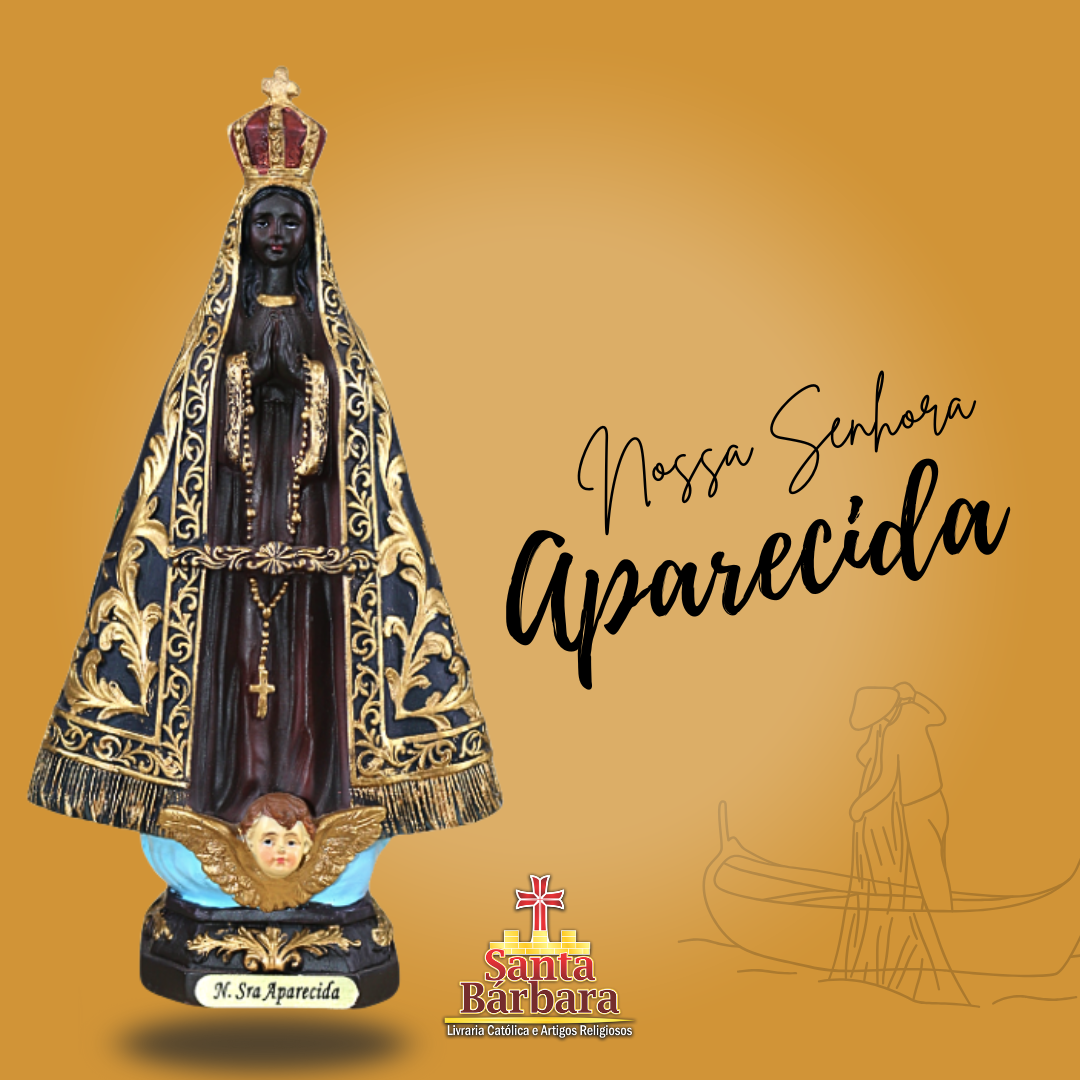 Imagens NS Aparecida