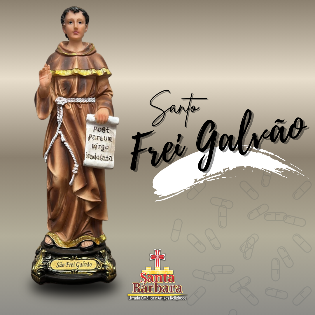 Imagens Frei Galvão