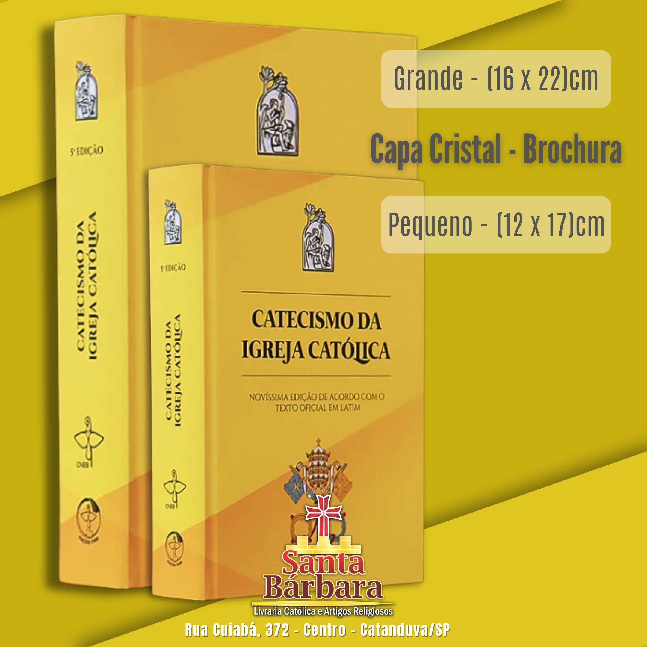 Catecismos da Igreja Católica