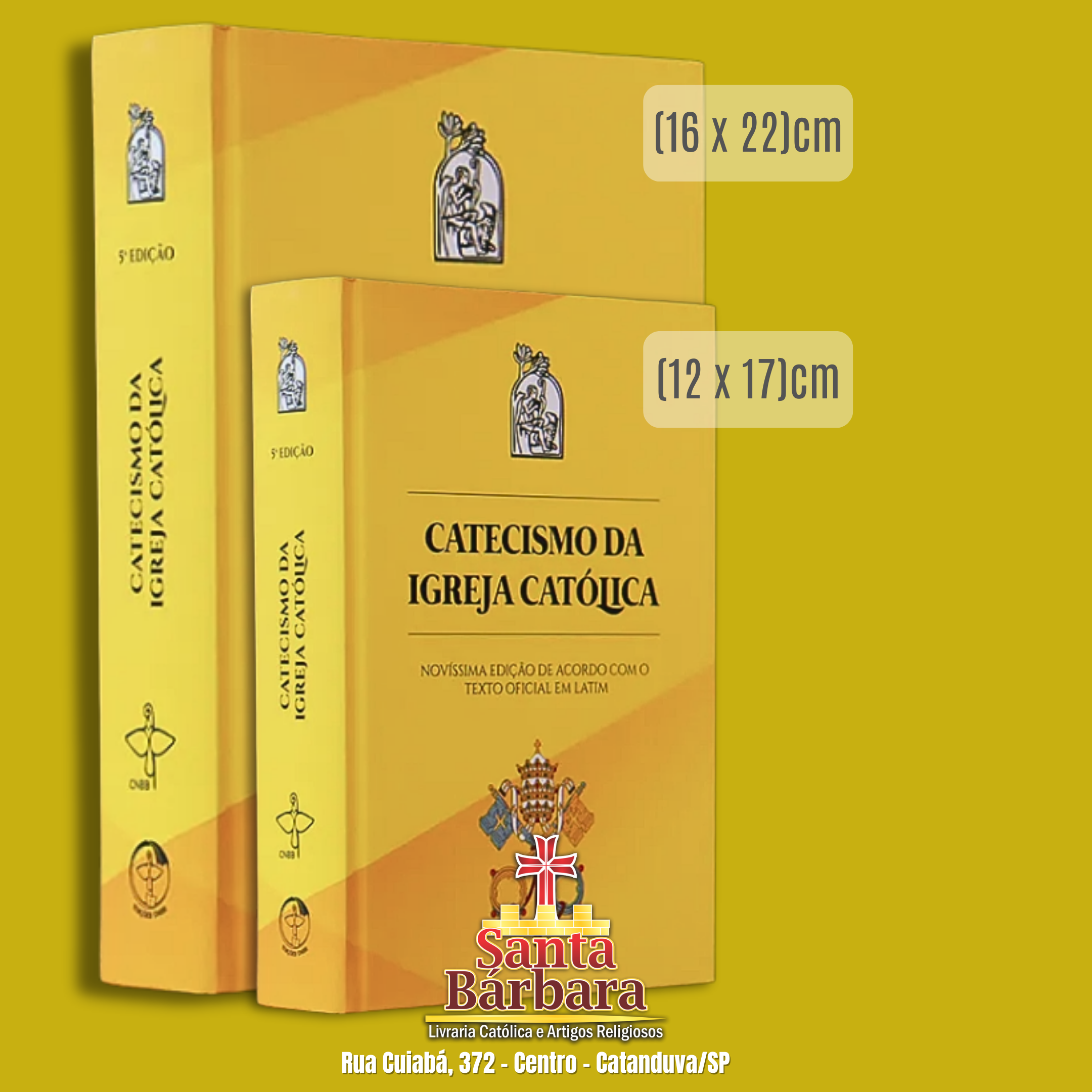 Catecismos da Igreja Católica