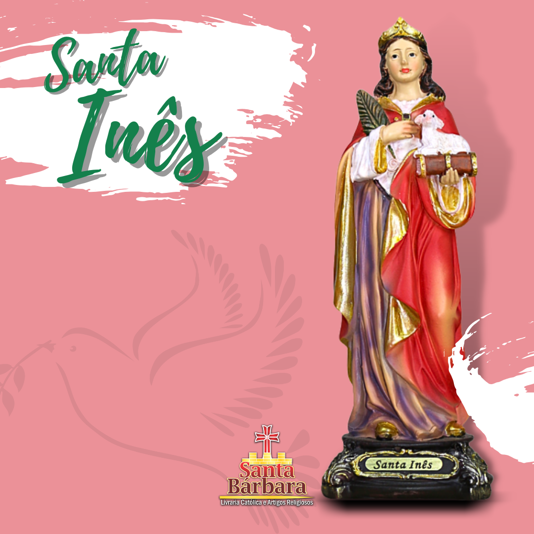 Imagens Santa Inês