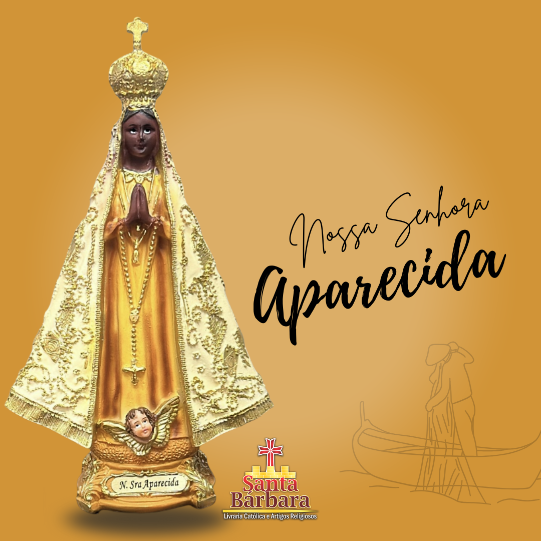 Imagens NS Aparecida