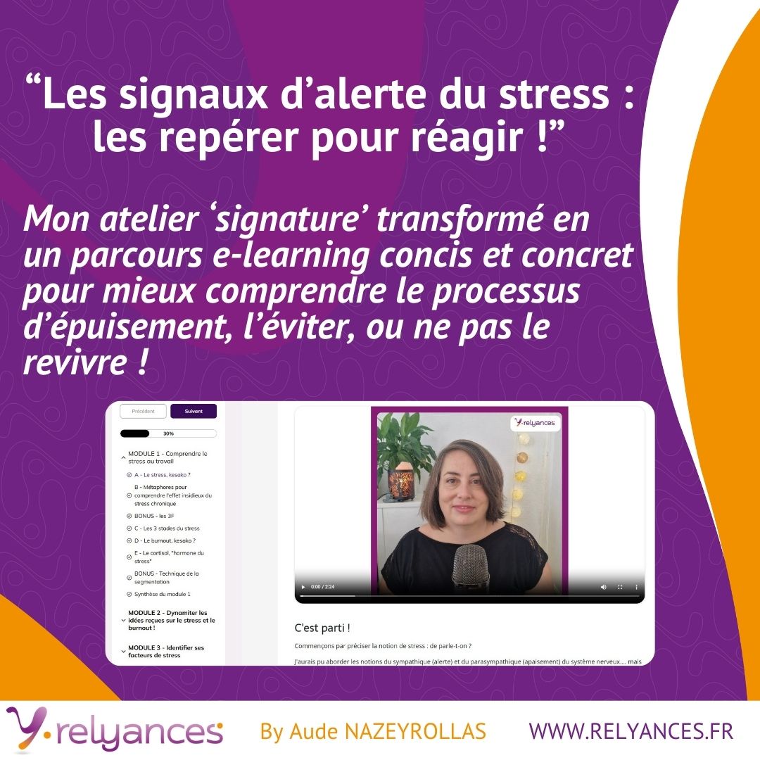 Elearning : "Les signaux d'alerte du stress, les repérer pour réagir" - Formule "Autonome"