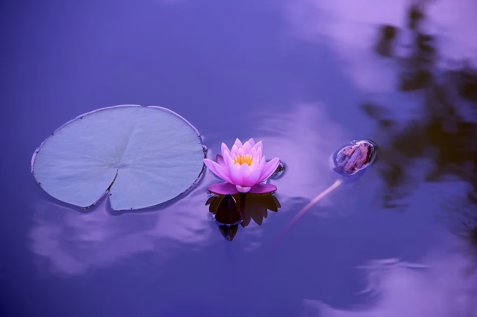 Méditation guidée - Pause d'autocompassion