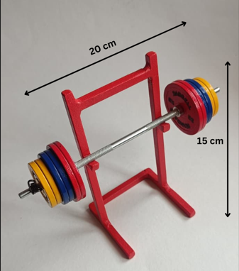 Mini Squat Rack set