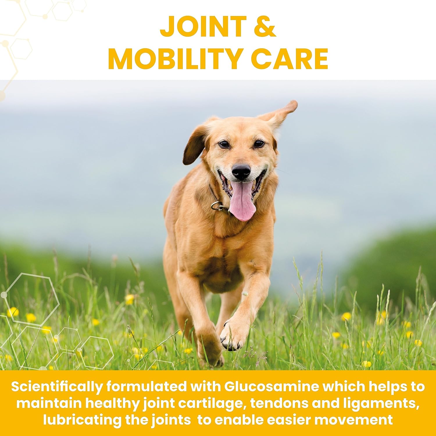 Vetzyme Flexible Joint Tablets for Dogs: Hip and Mobility Support (30 Tablets)
