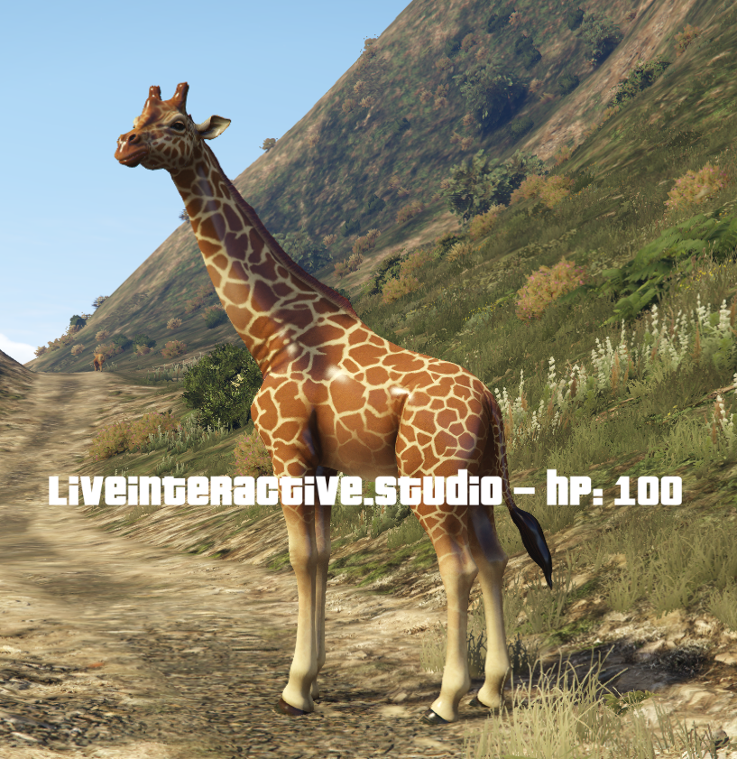 Gta Interactive 30 DAYS