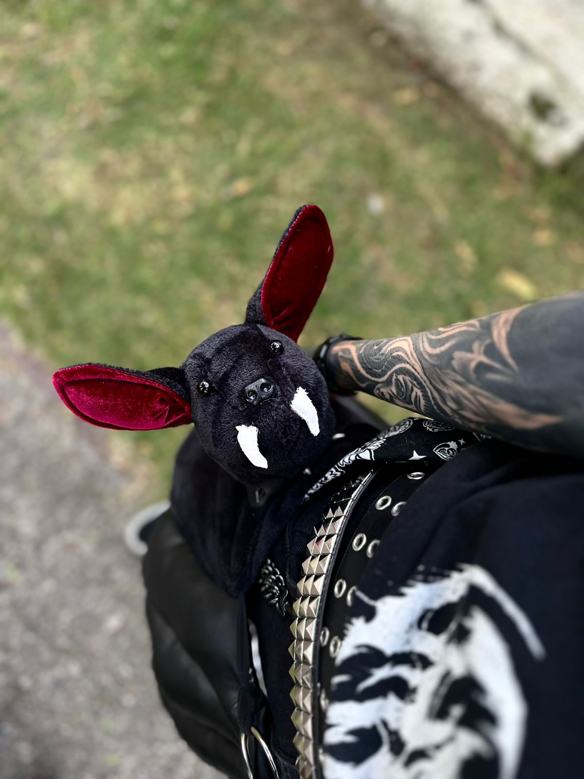 ozzy