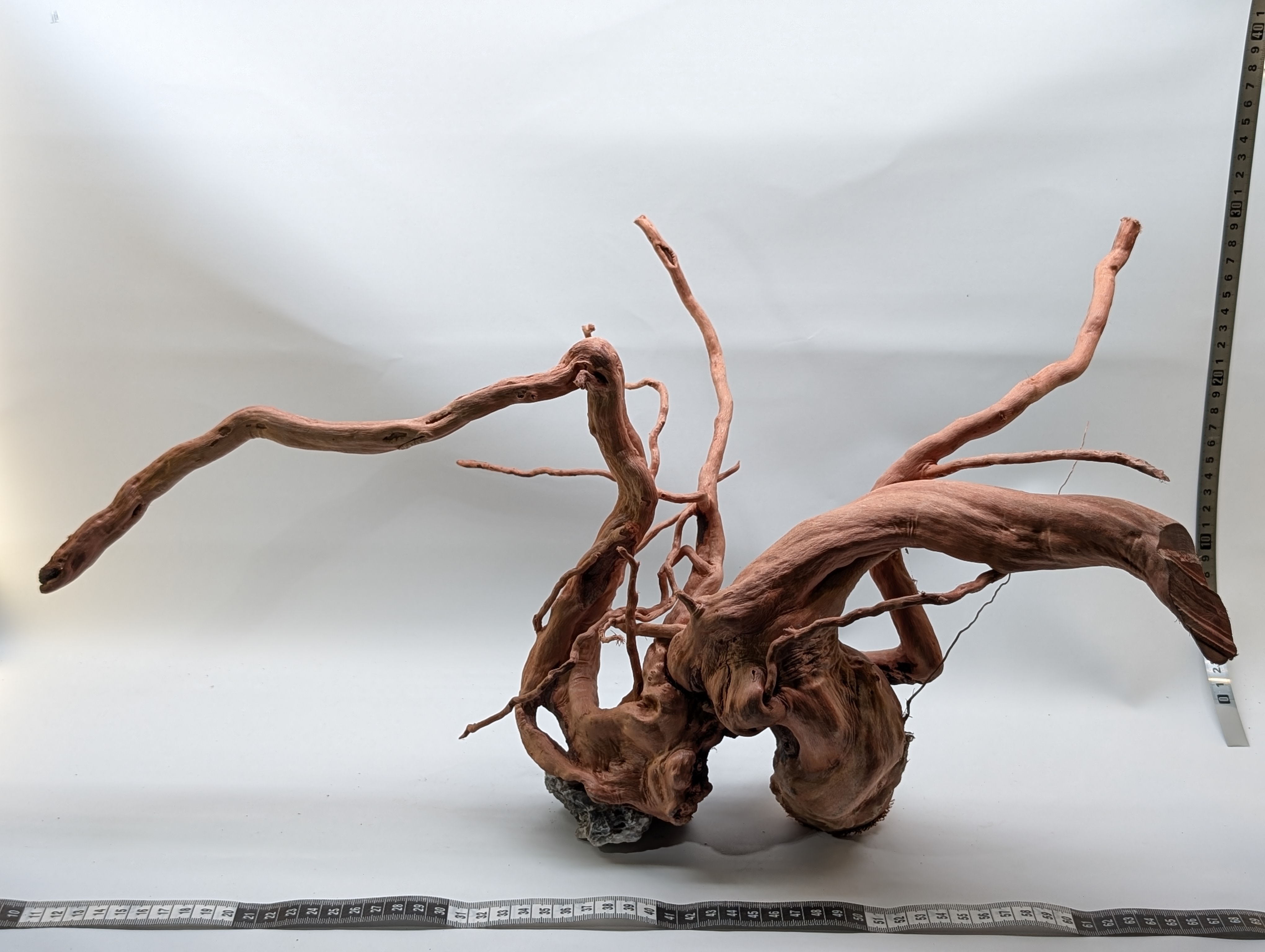 Aquarium Gold Vine driftwood XL 40-60cm