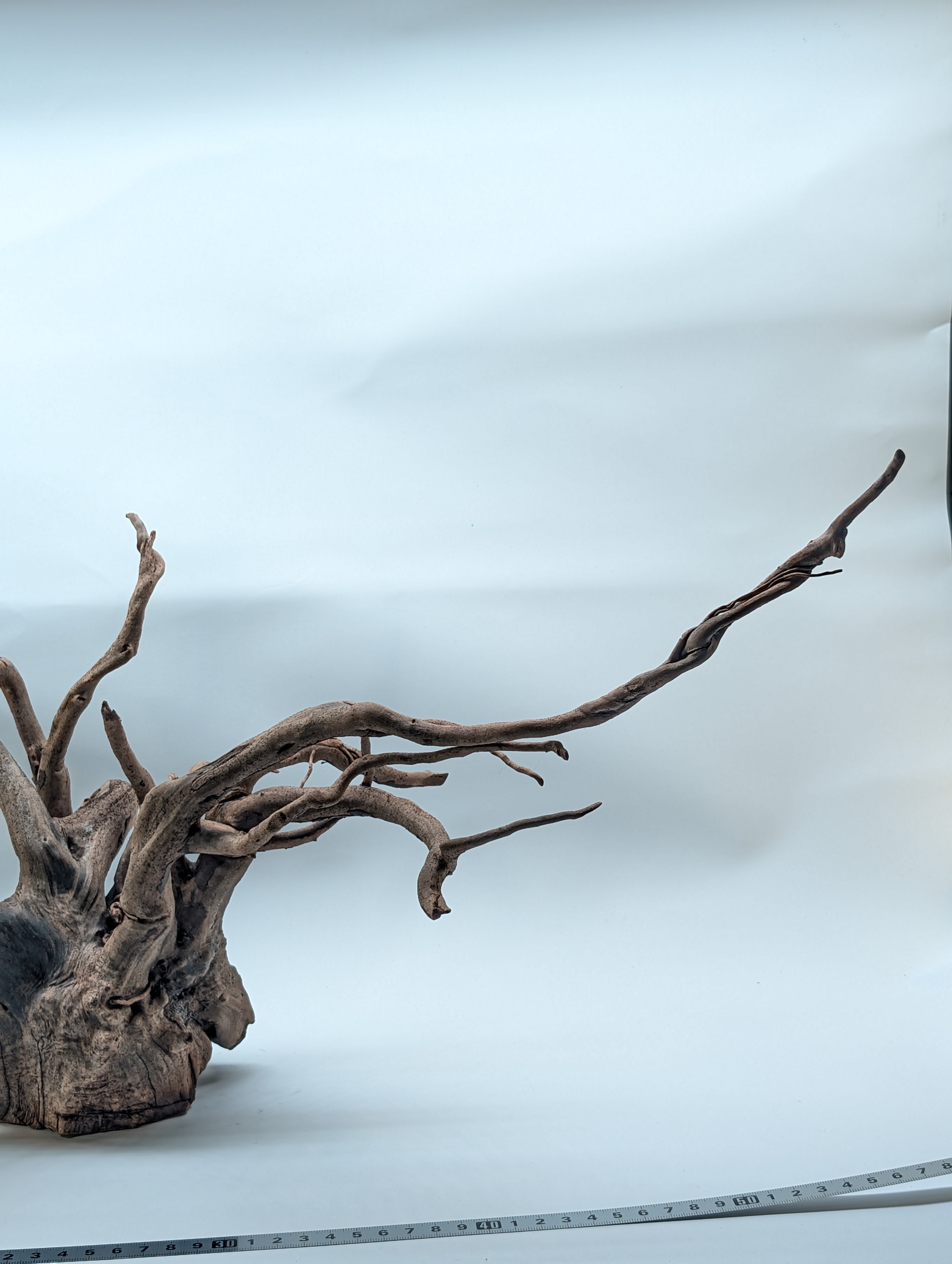 Aquarium Gold Vine driftwood  XL 40-60cm