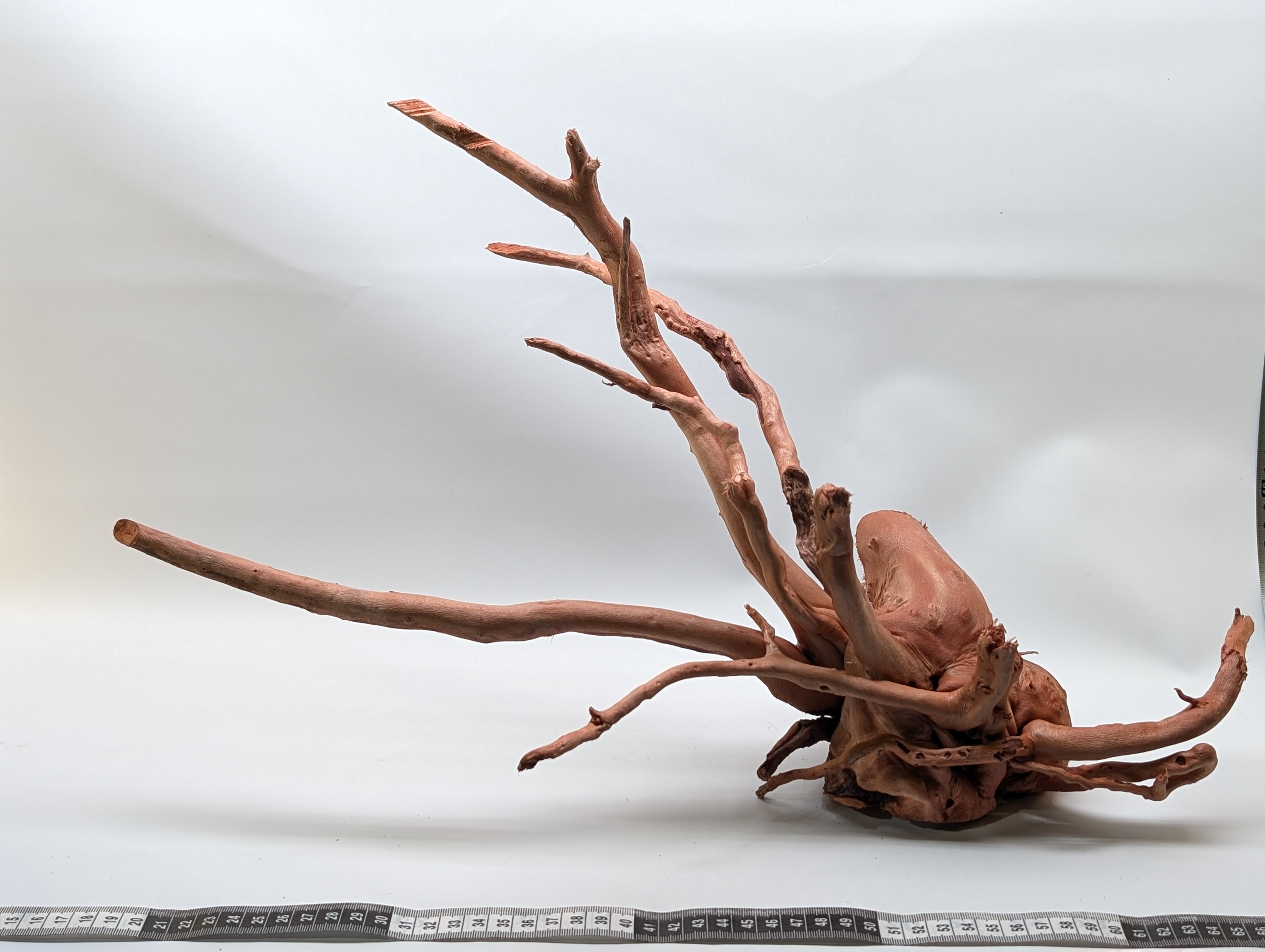 Aquarium Gold Vine driftwood XL 40-60cm