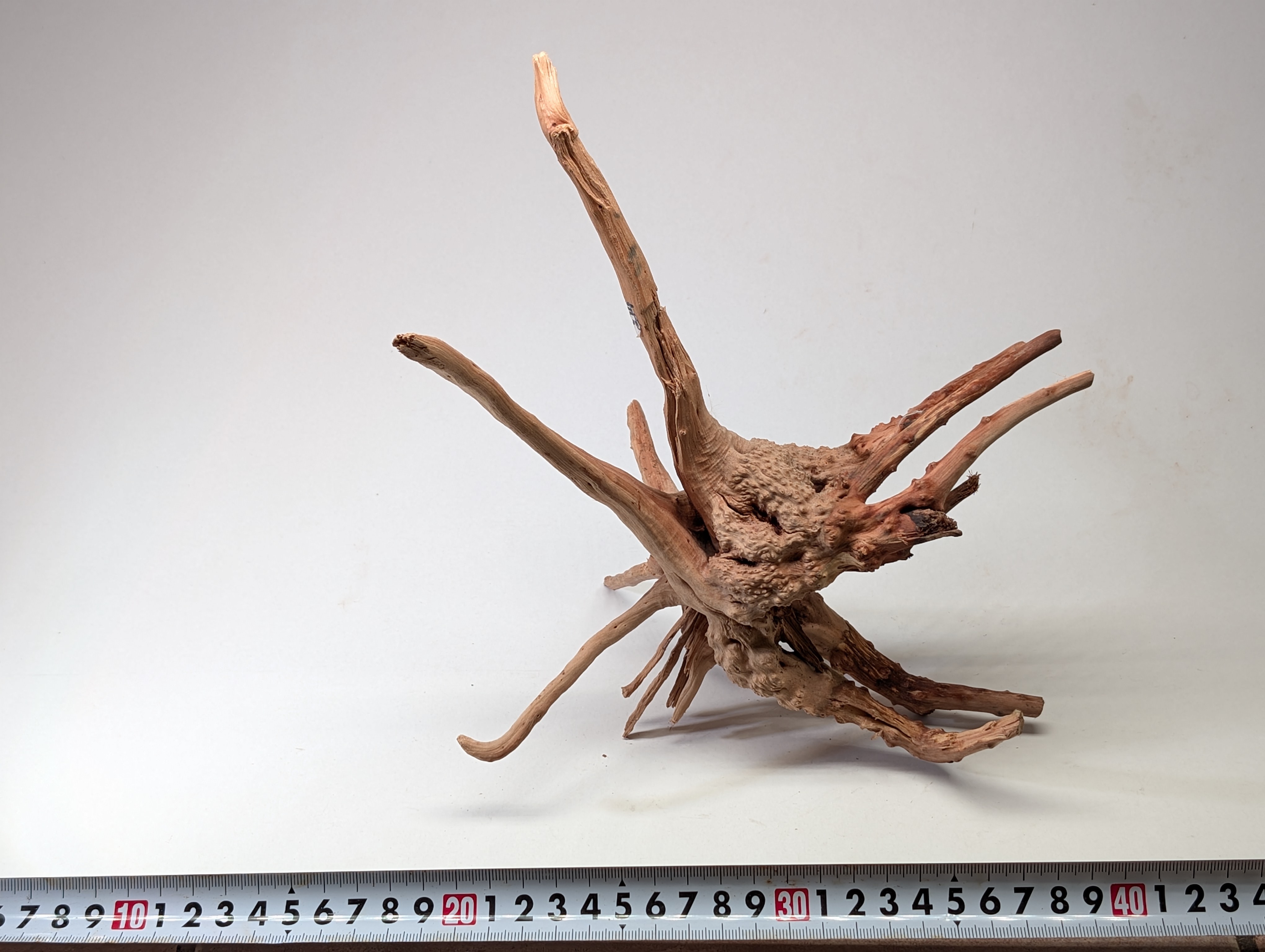 Aquarium gold vine driftwood  L size 25-40cm