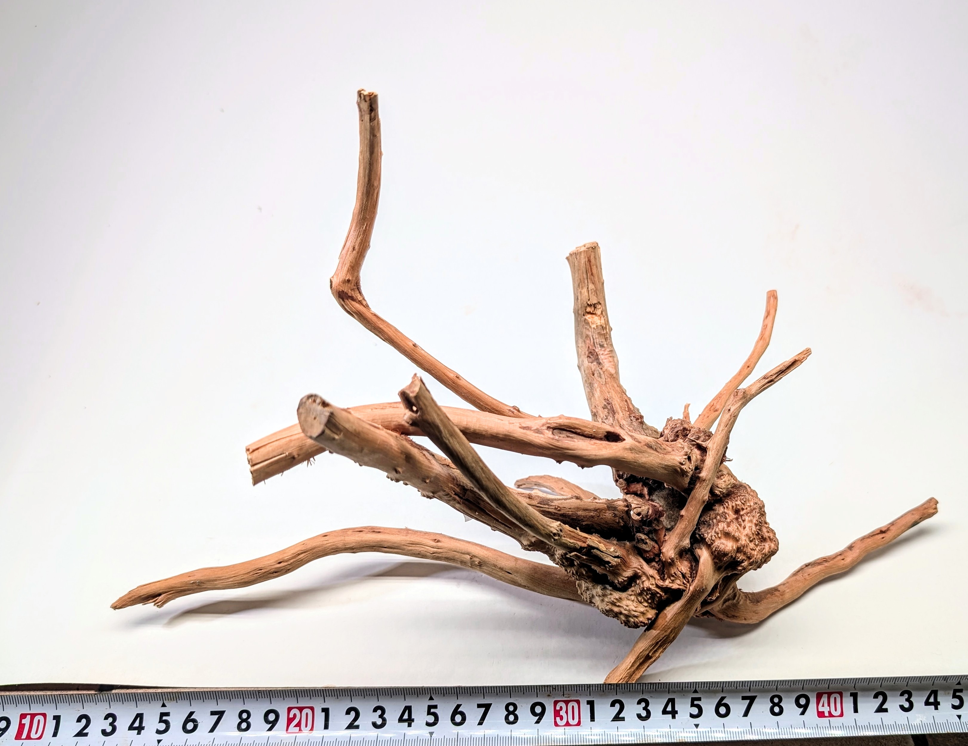 Aquarium gold vine drifrwood  L size 25-40cm
