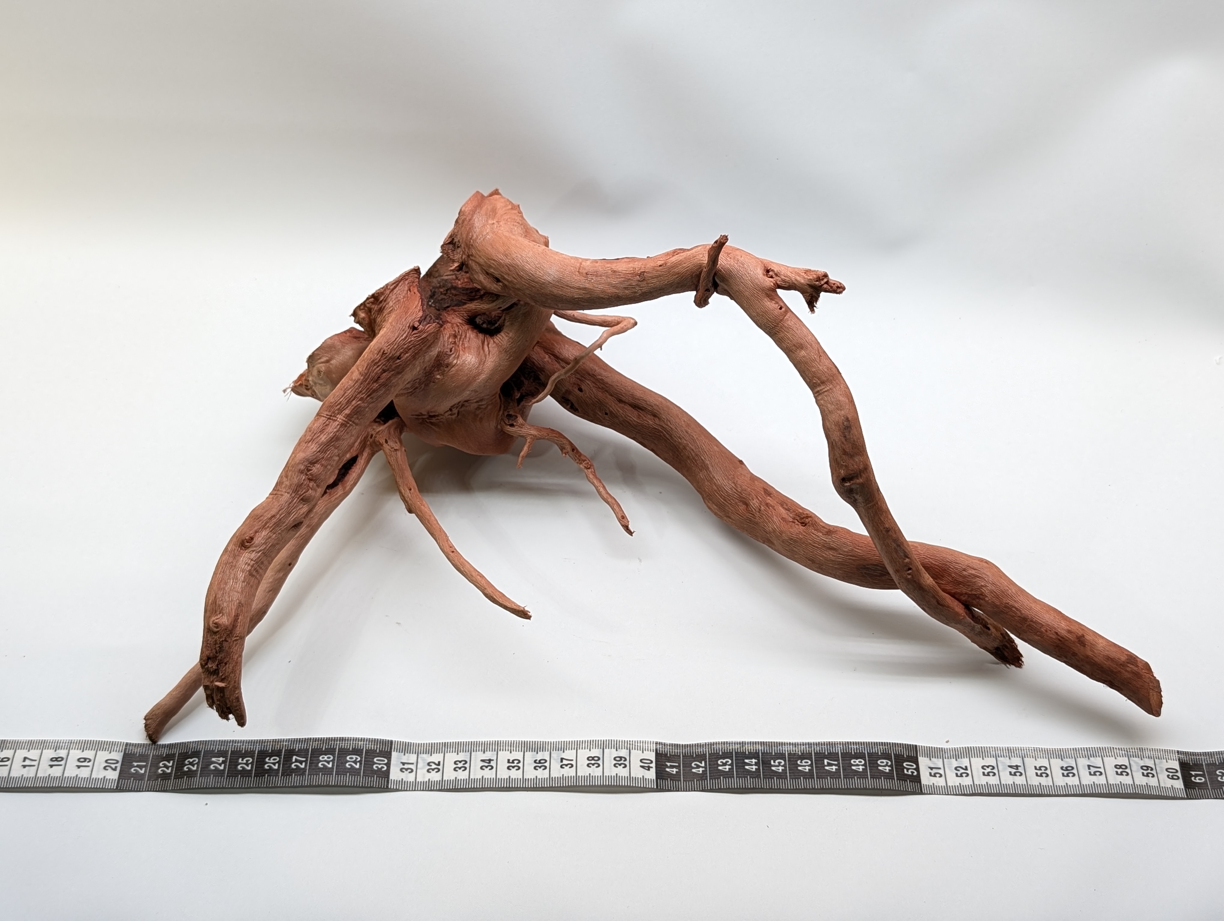 Aquarium gold vine driftwood  L size 25-40cm