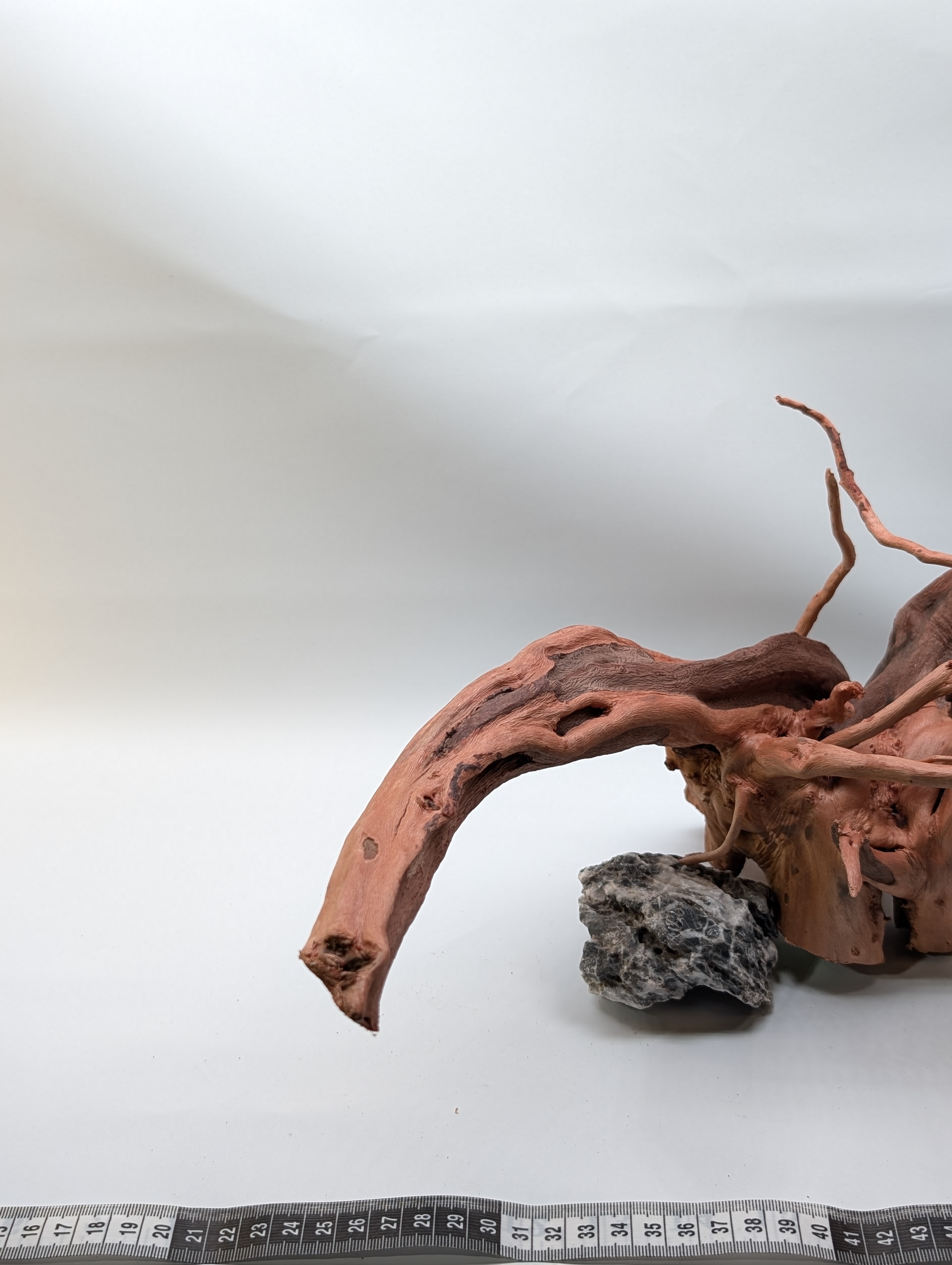 Aquarium Gold Vine driftwood  XL 40-60cm