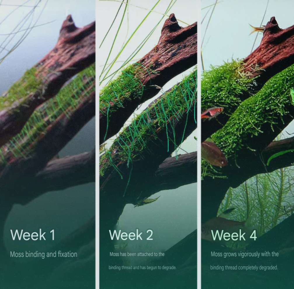 Biodegradable Aquarium Moss Thread – 200 m